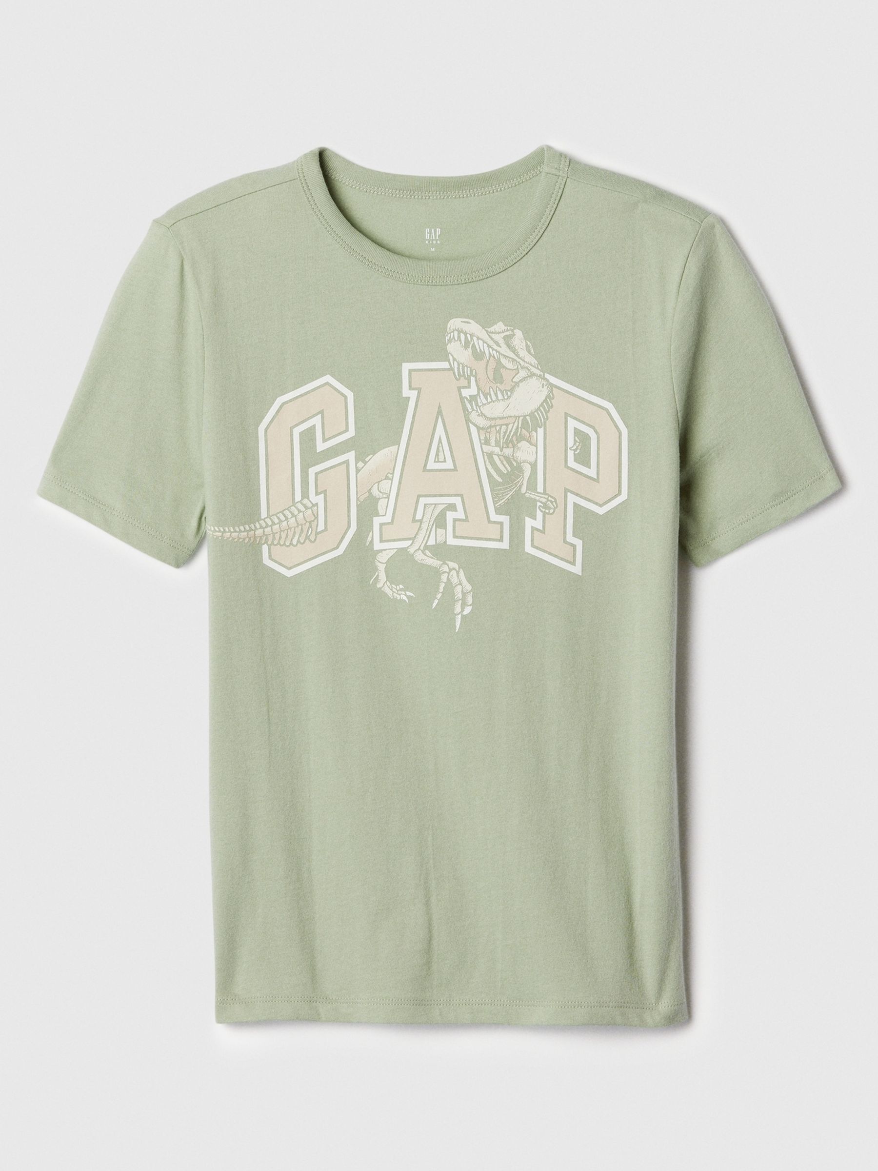 Green Graphic Short Sleeve Crew Neck T-Shirt (4-13yrs) - Image 1 of 2