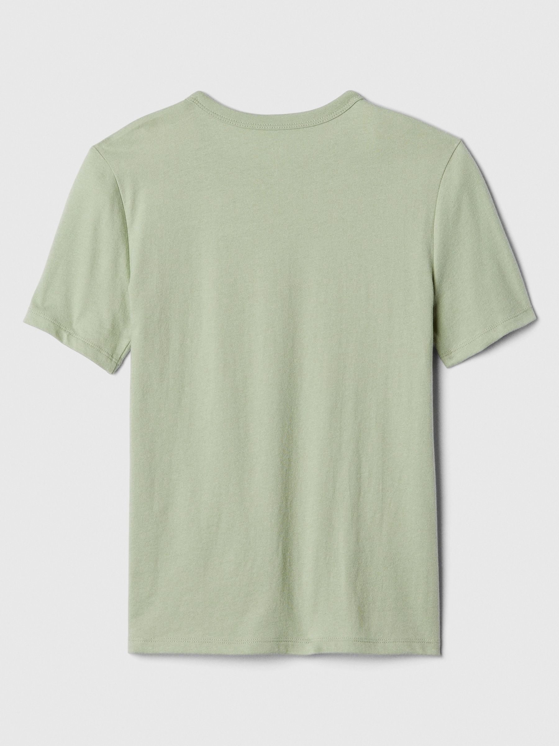 Green Graphic Short Sleeve Crew Neck T-Shirt (4-13yrs) - Image 2 of 2