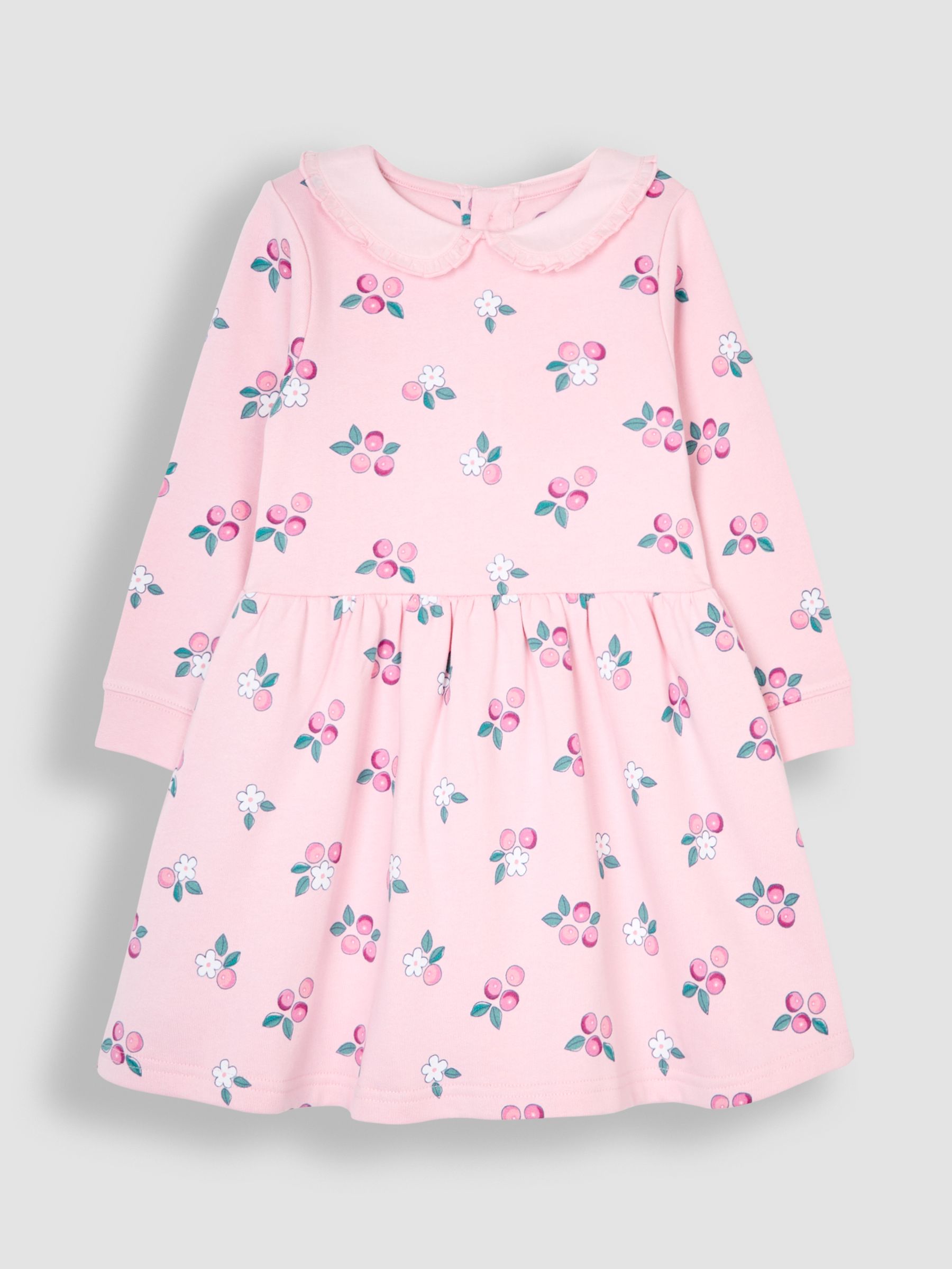 Pink Berry Floral Embroidered Sweat Dress With Collar - Image 1 of 3