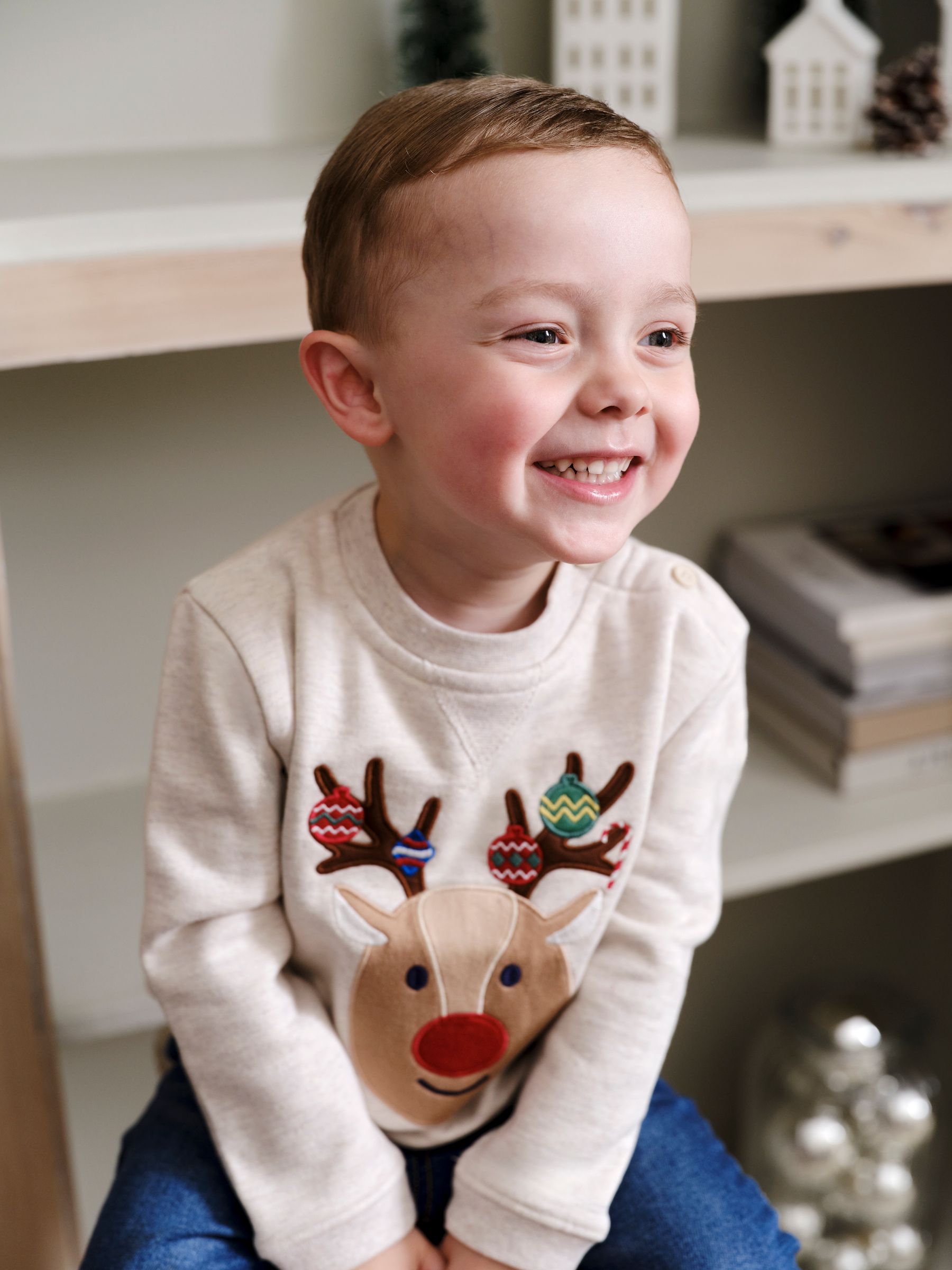 Natural Reindeer Appliqué Sweatshirt - Image 1 of 5