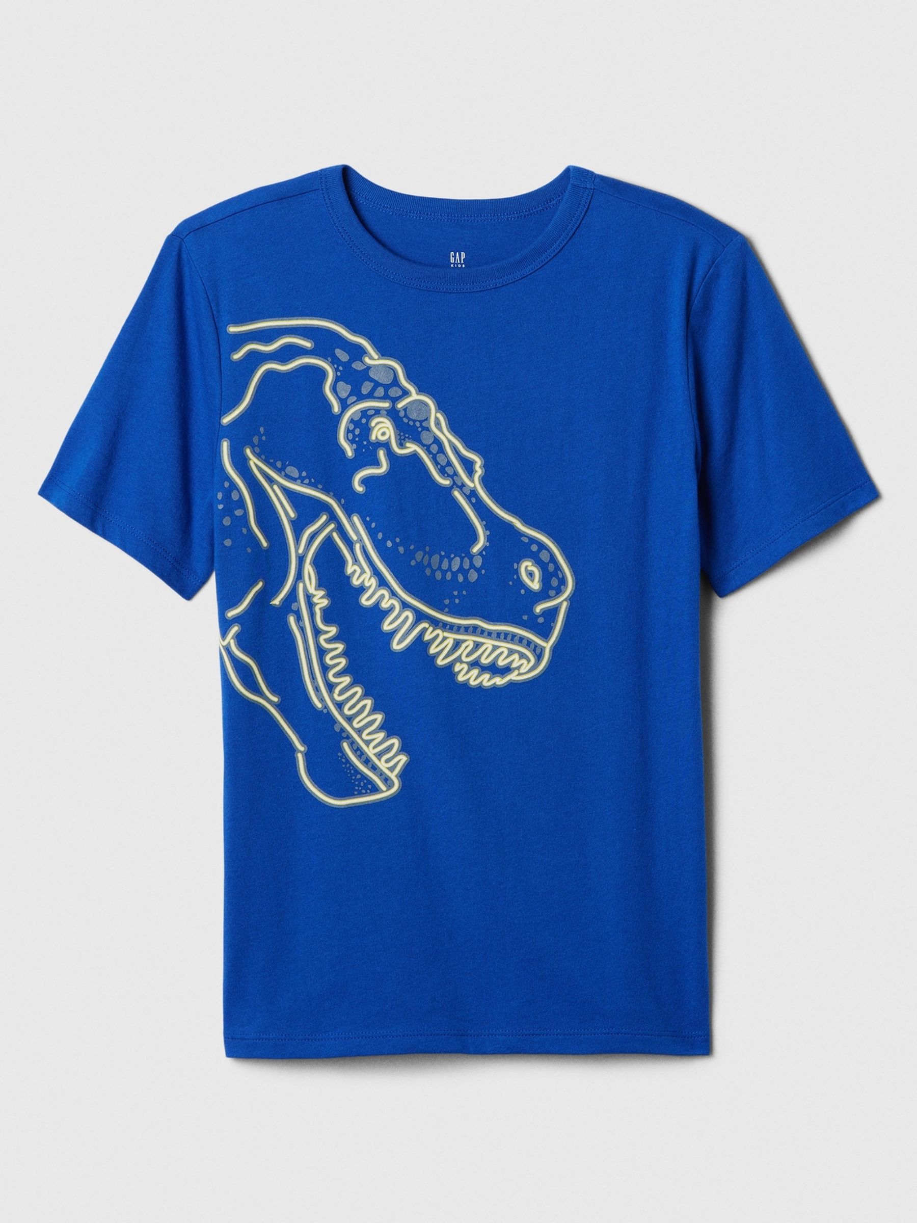 Blue Dinosaur Graphic Crew Neck Short Sleeve T-Shirt (4-13yrs) - Image 1 of 1