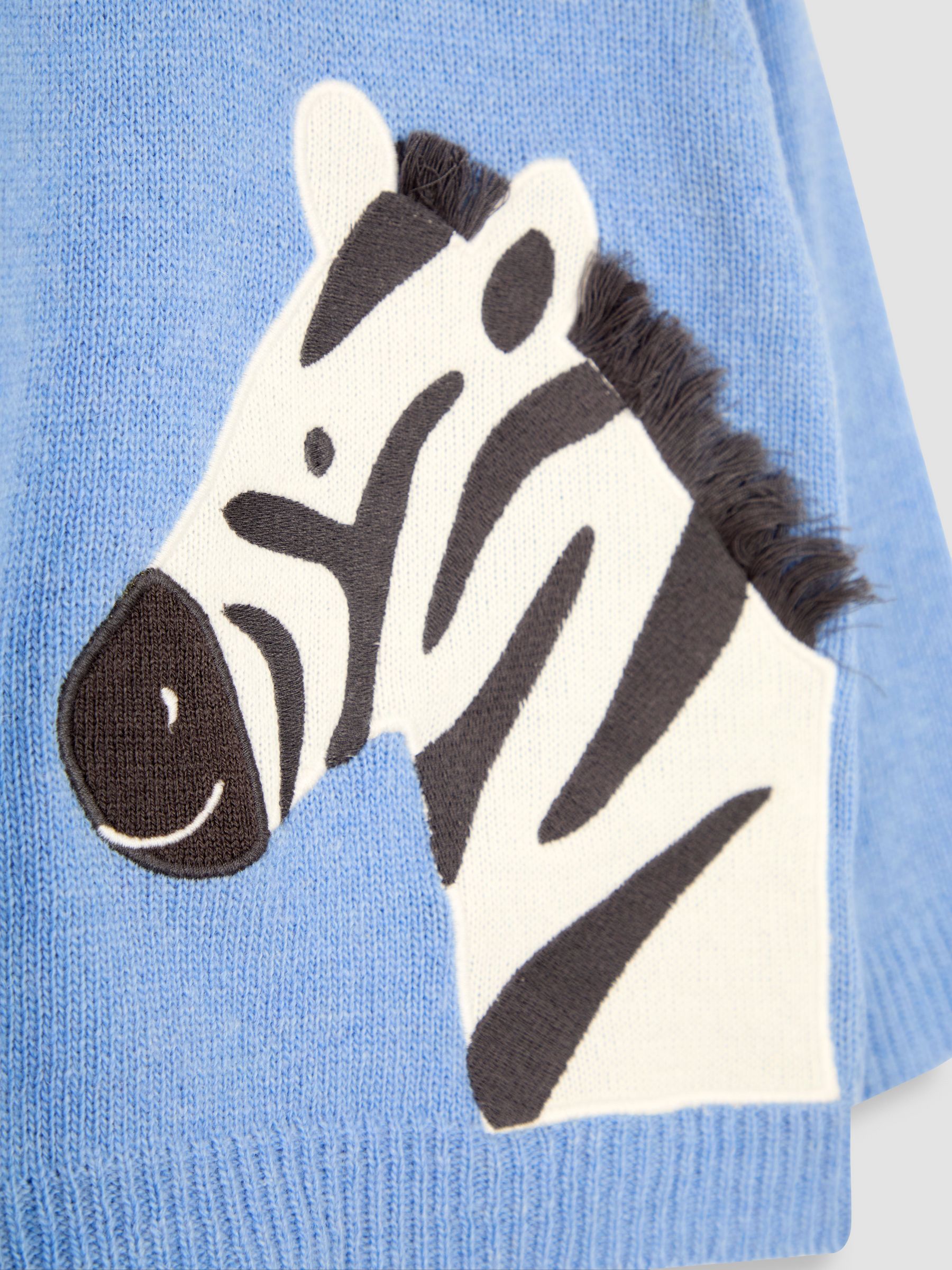 Blue Zebra Jumper - Image 3 of 3