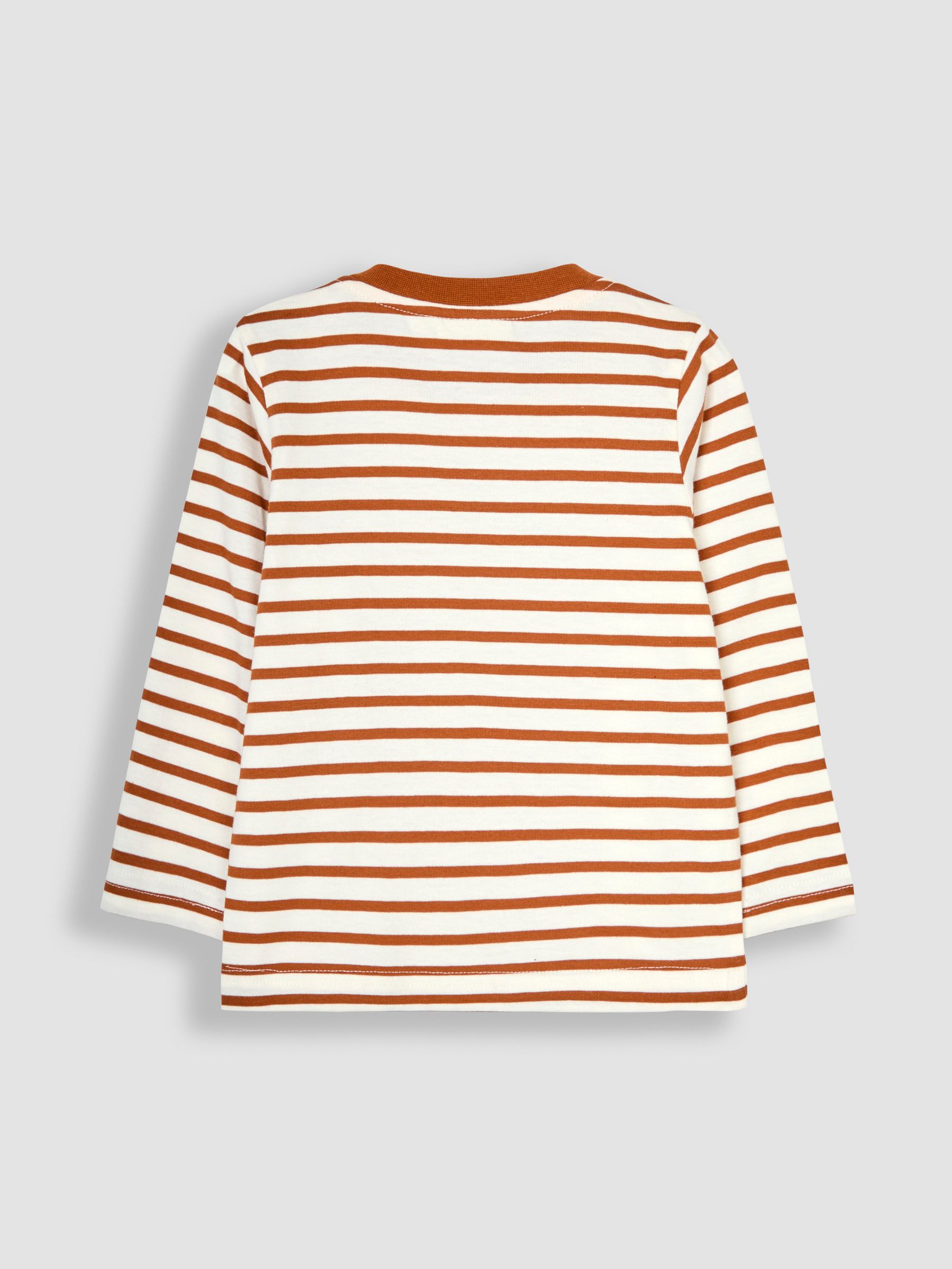Toffee Stripe Dinosaur Appliqué Top - Image 2 of 3