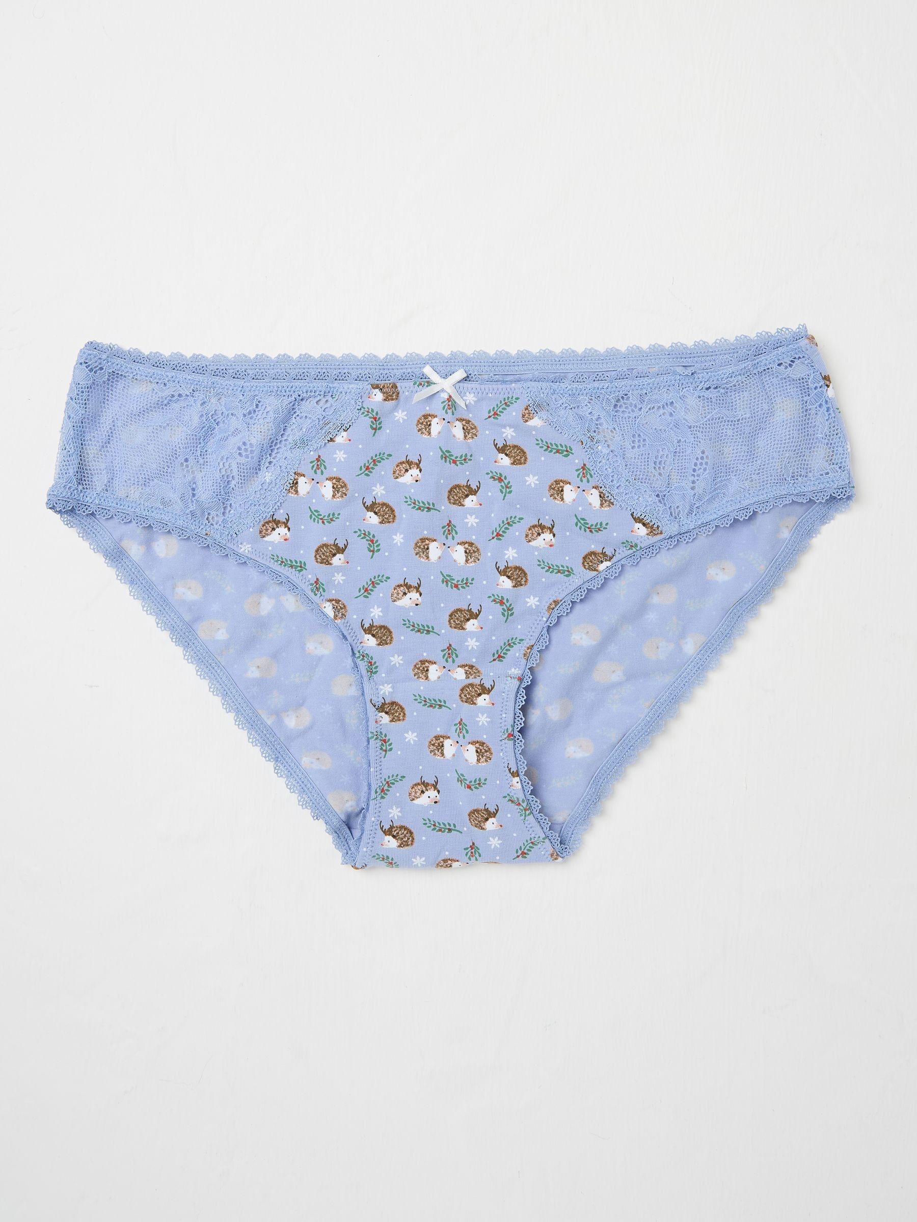 Chambray Blue Festive Hedgehog Mini Knickers - Image 1 of 2