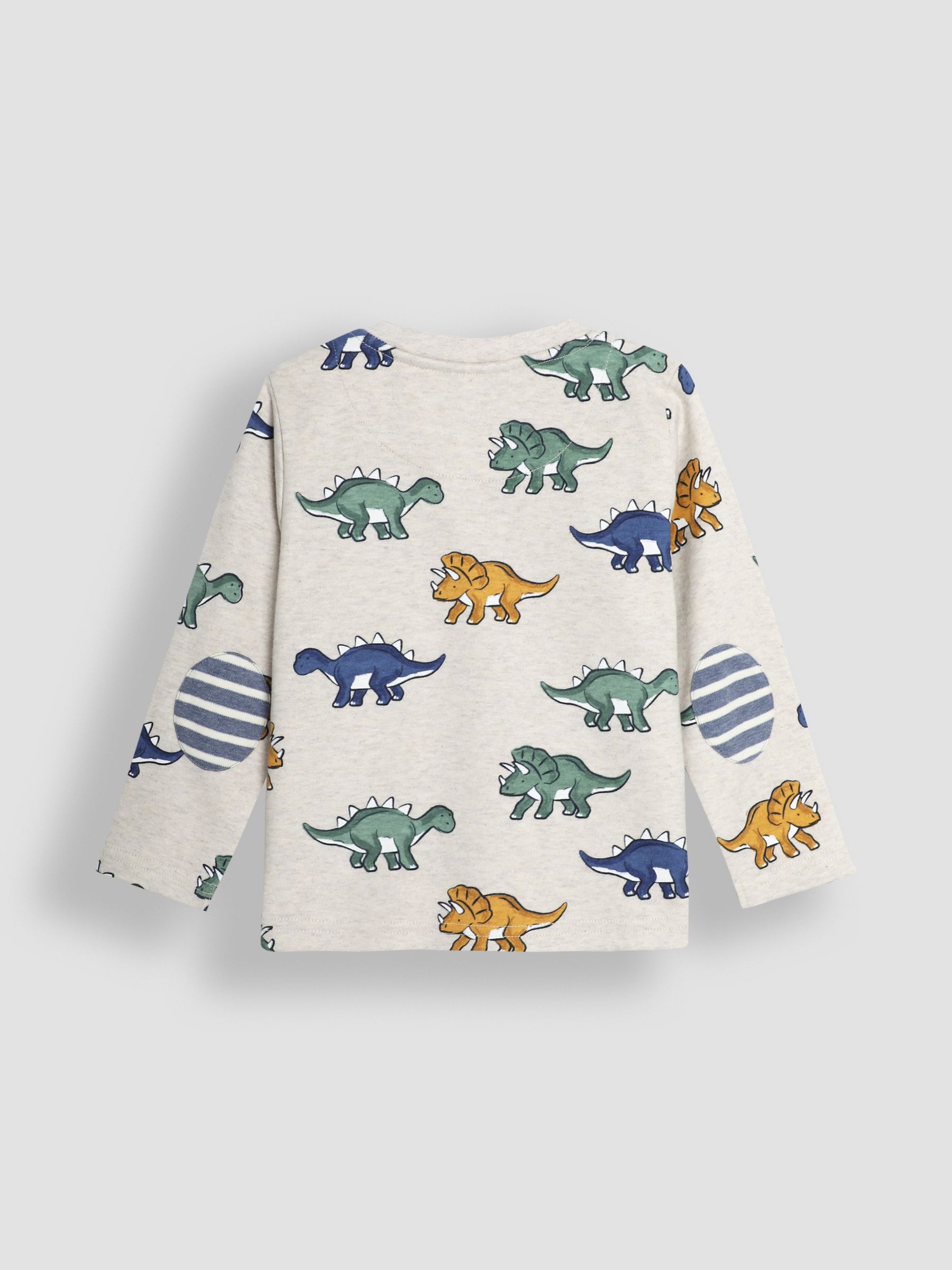 Natural Dinosaur Print & Stripe Long Sleeve 2-Pack Tops - Image 3 of 5