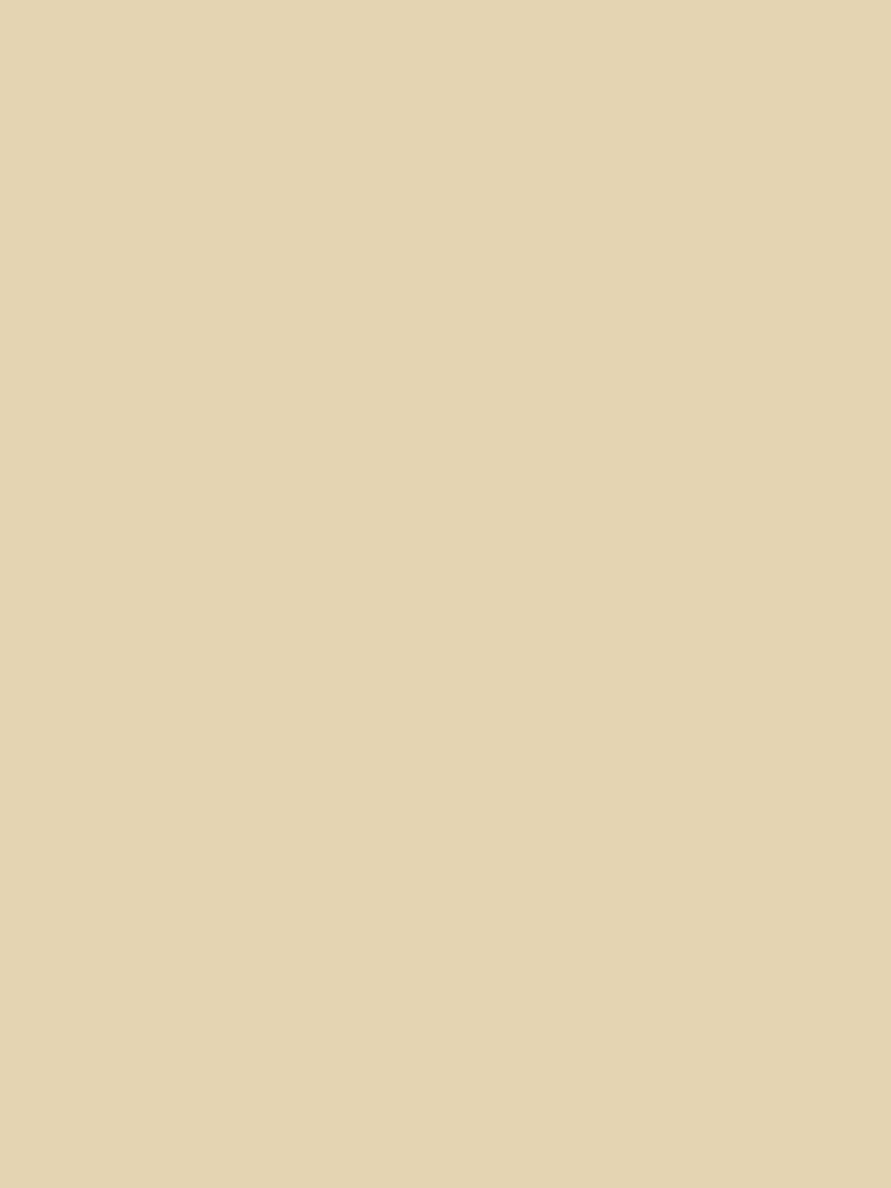Reed White Multi Surface Matt Emulsion - Image 2 of 4