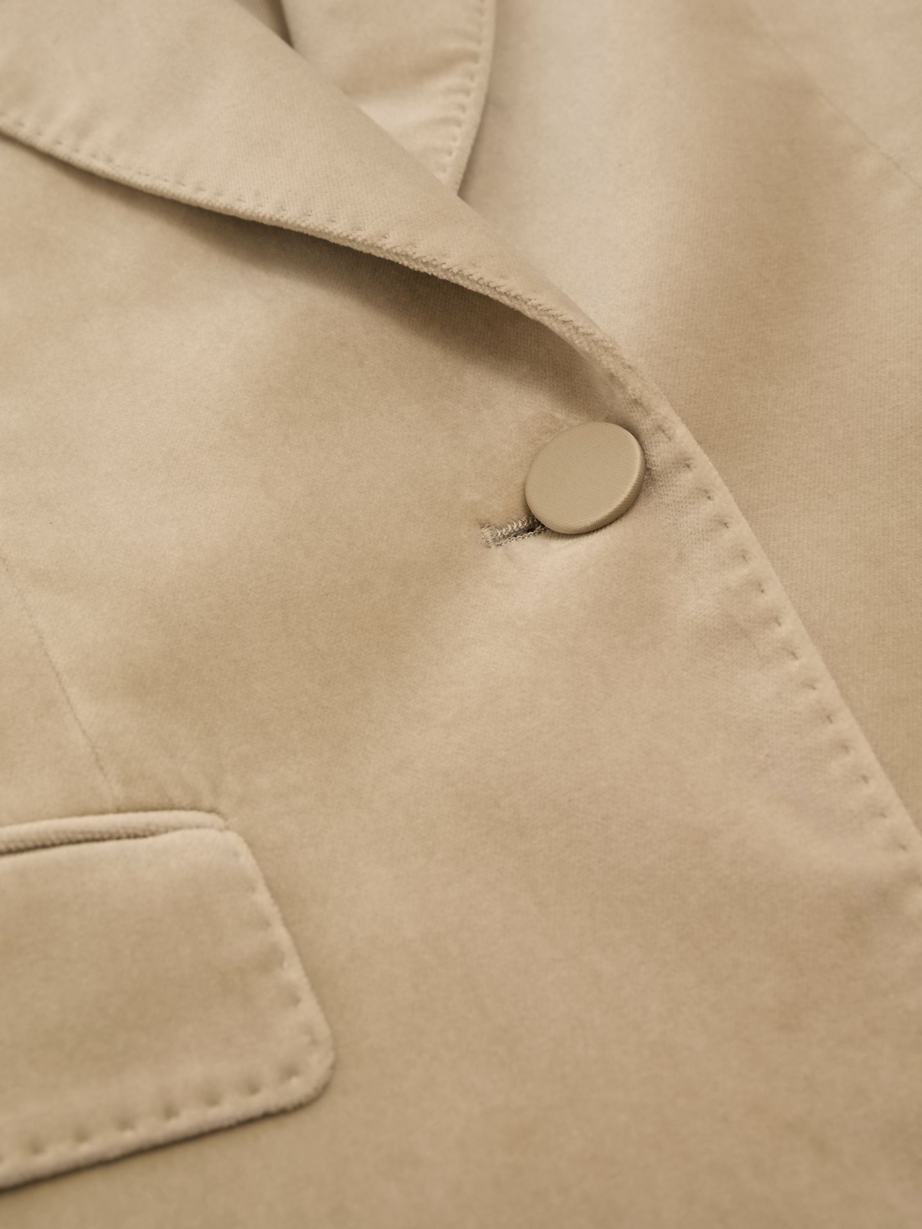 Velvet Single-Breasted Suit Blazer in Blonde Neutral - Image 8 of 8