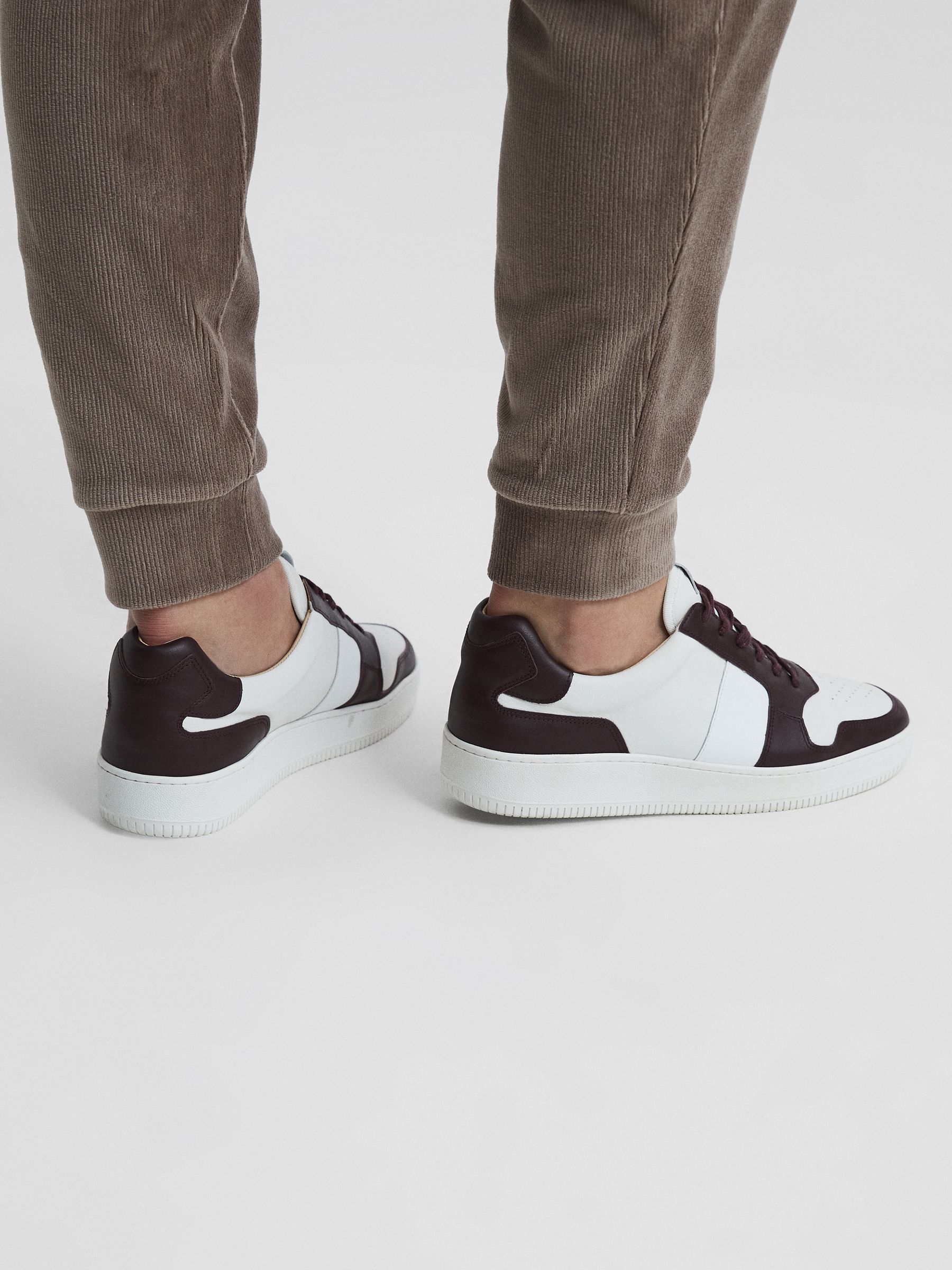 Low Top Leather Trainers in Bordeaux - Image 3 of 7