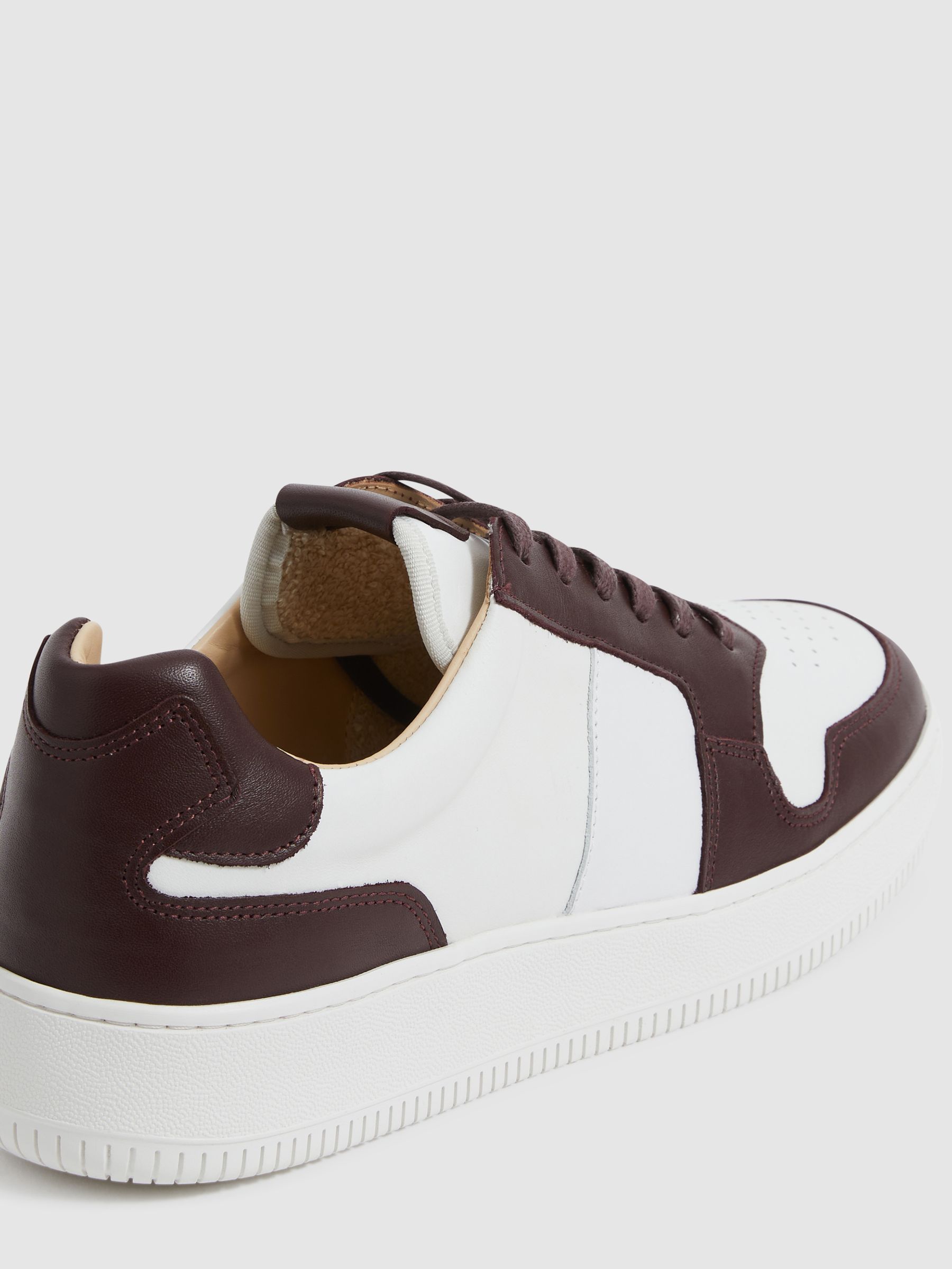 Low Top Leather Trainers in Bordeaux - Image 4 of 7