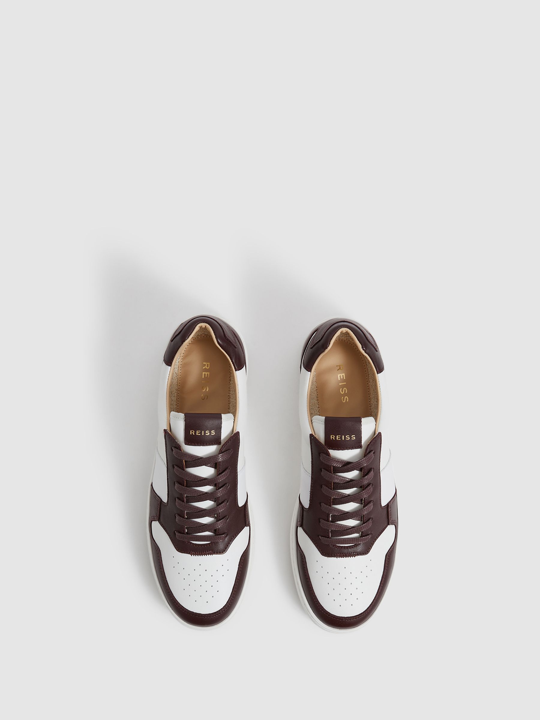 Low Top Leather Trainers in Bordeaux - Image 5 of 7