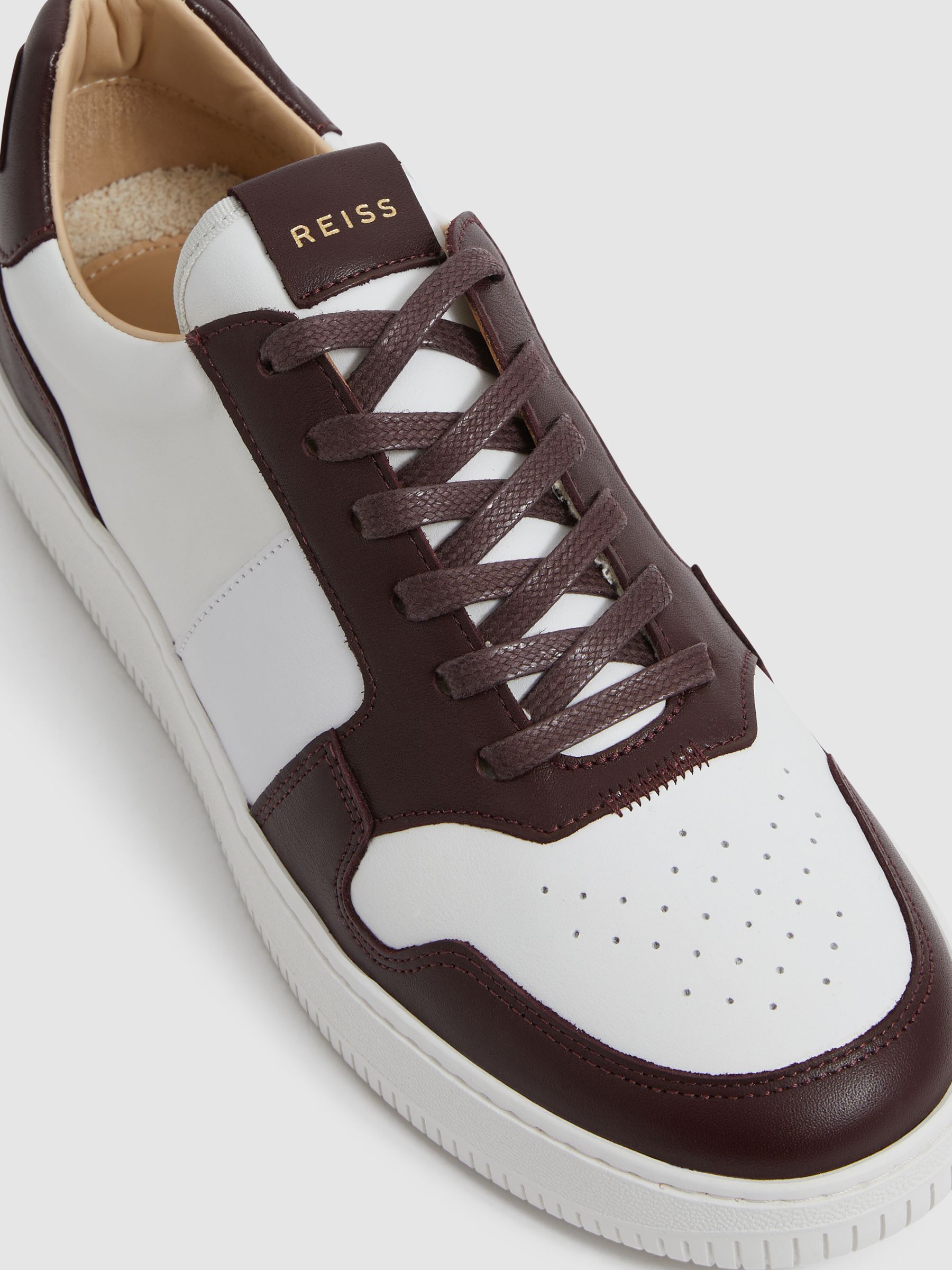 Low Top Leather Trainers in Bordeaux - Image 6 of 7