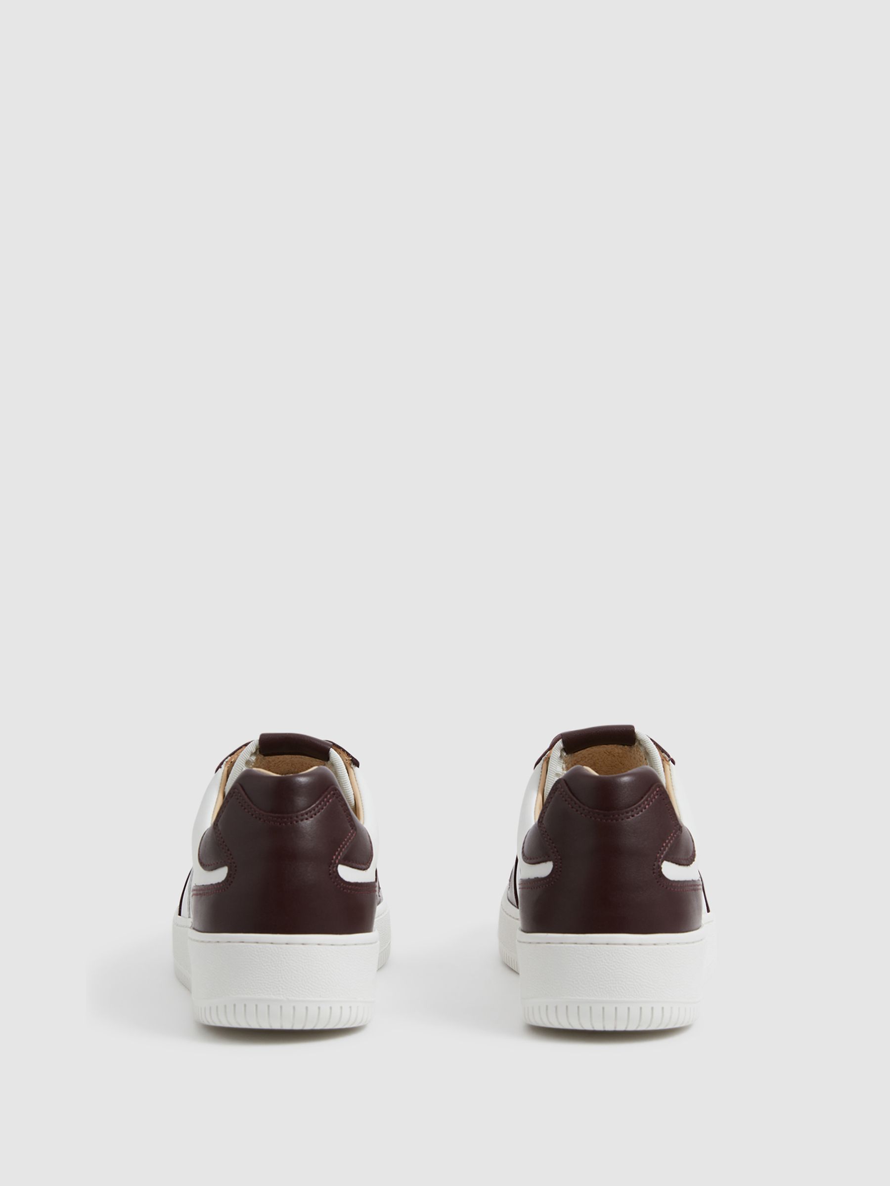 Low Top Leather Trainers in Bordeaux - Image 7 of 7