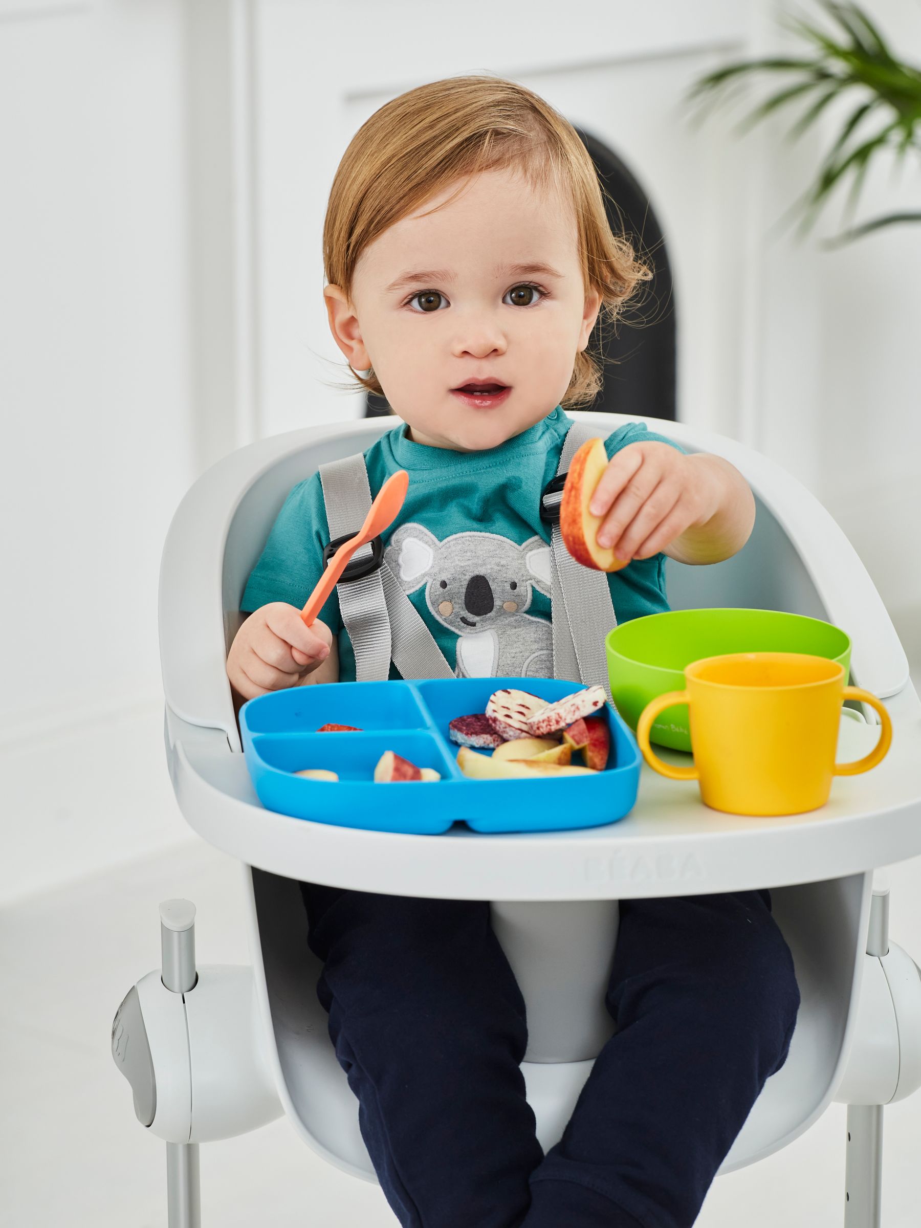 PLA Plate & Bowl Weaning Set in Multi - Image 1 of 3