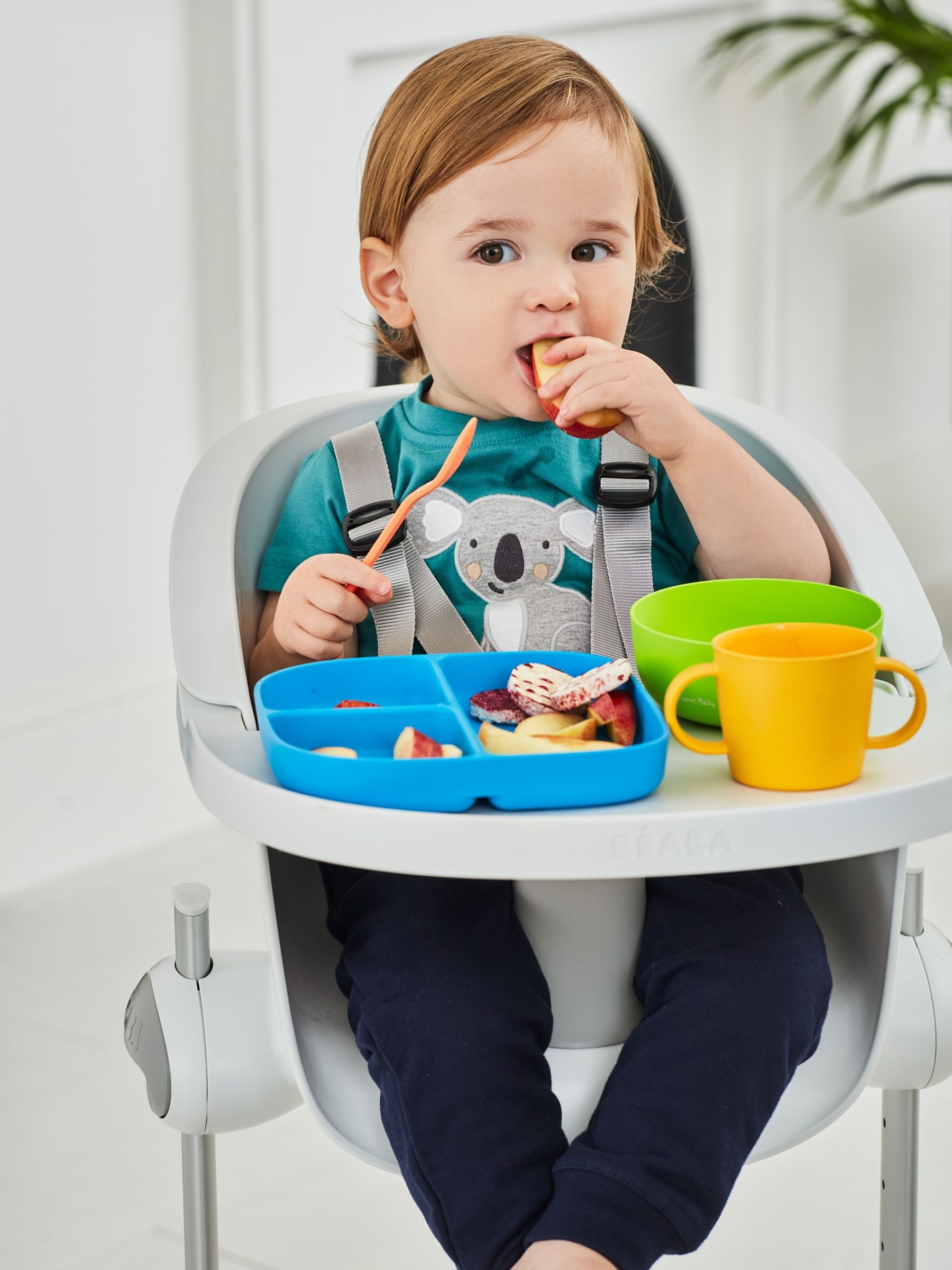 PLA Plate & Bowl Weaning Set in Multi - Image 2 of 3