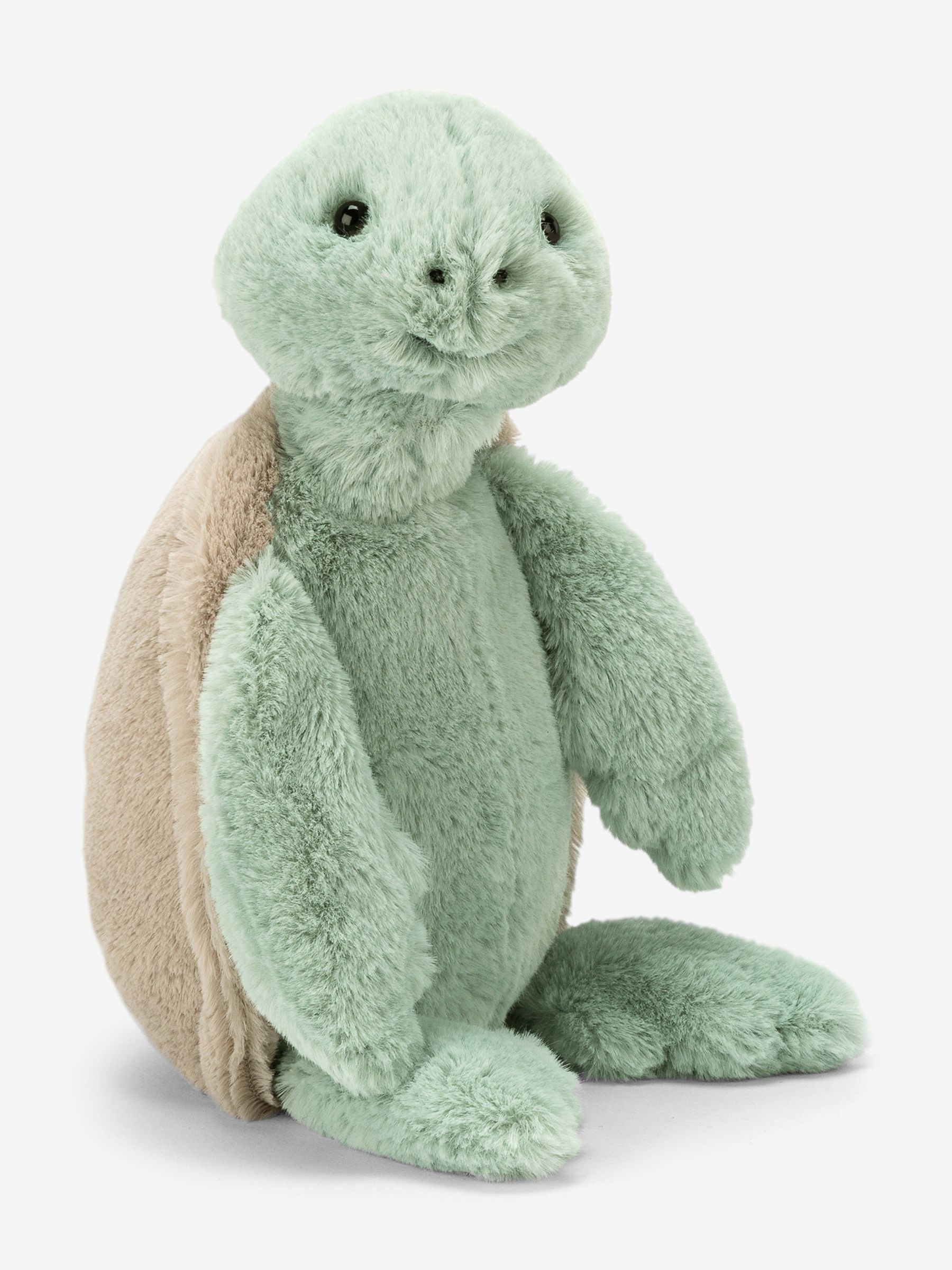 Bashful Turtle Small - Image 1 of 1