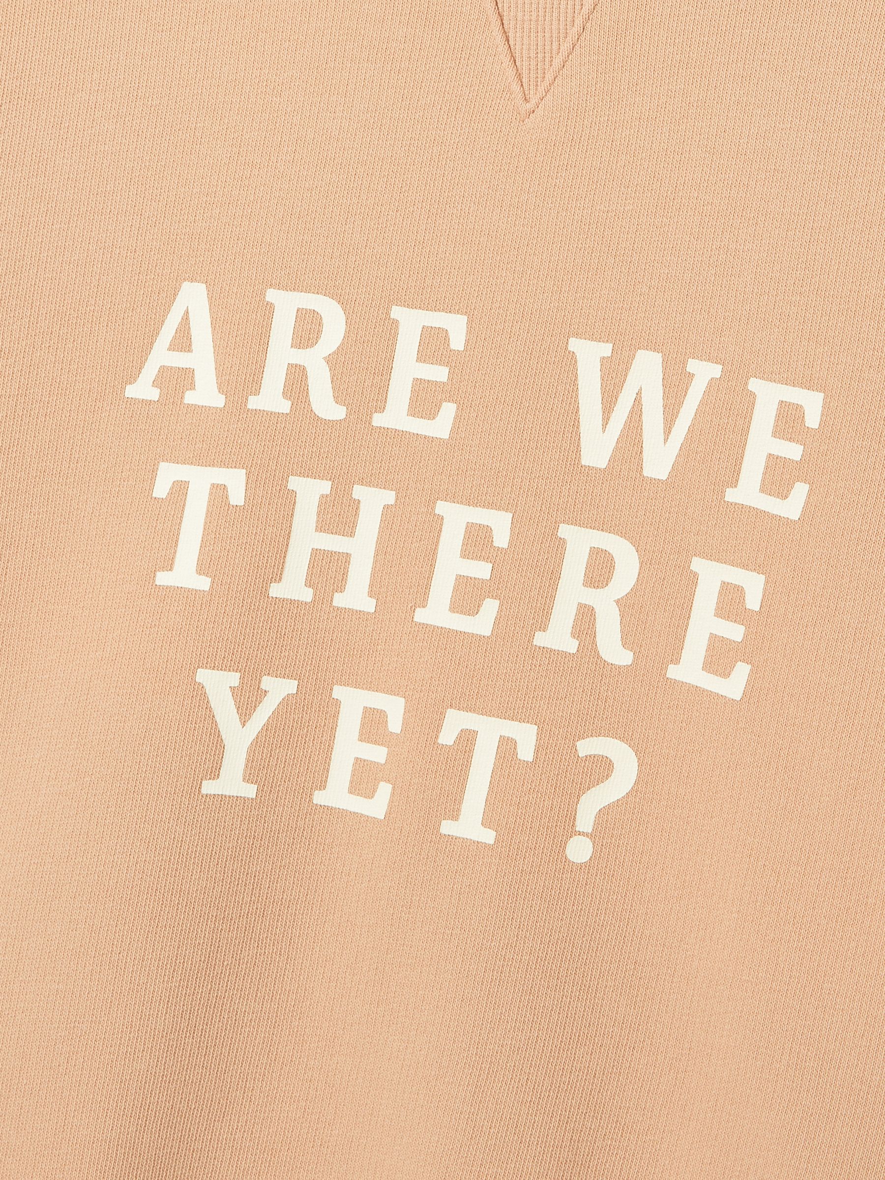 Kids' Sundaze Brown Crew Neck Slogan Sweatshirt - Image 5 of 7