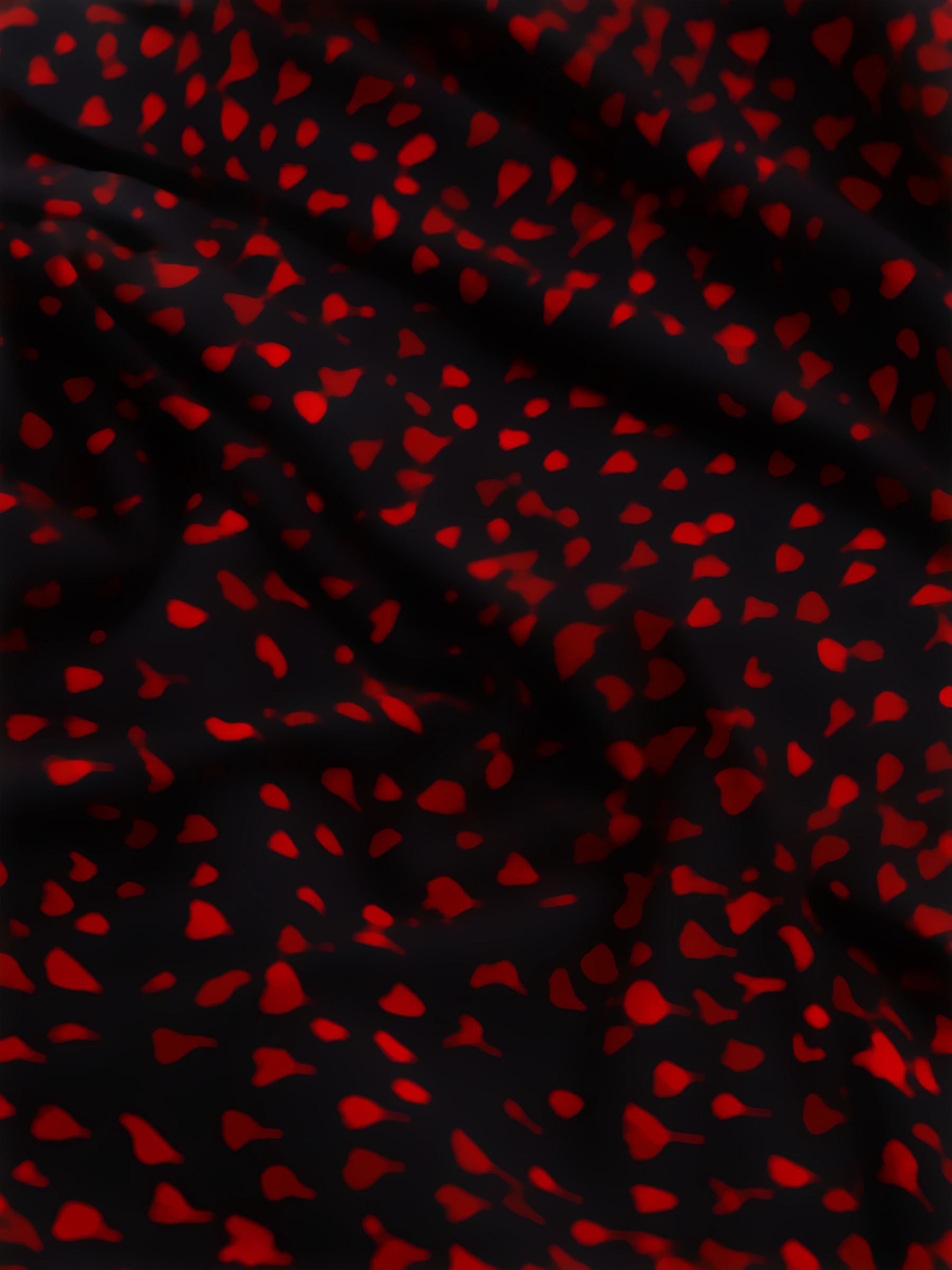 Senior Printed Twist Front Jersey Top in Black Print - Image 2 of 5