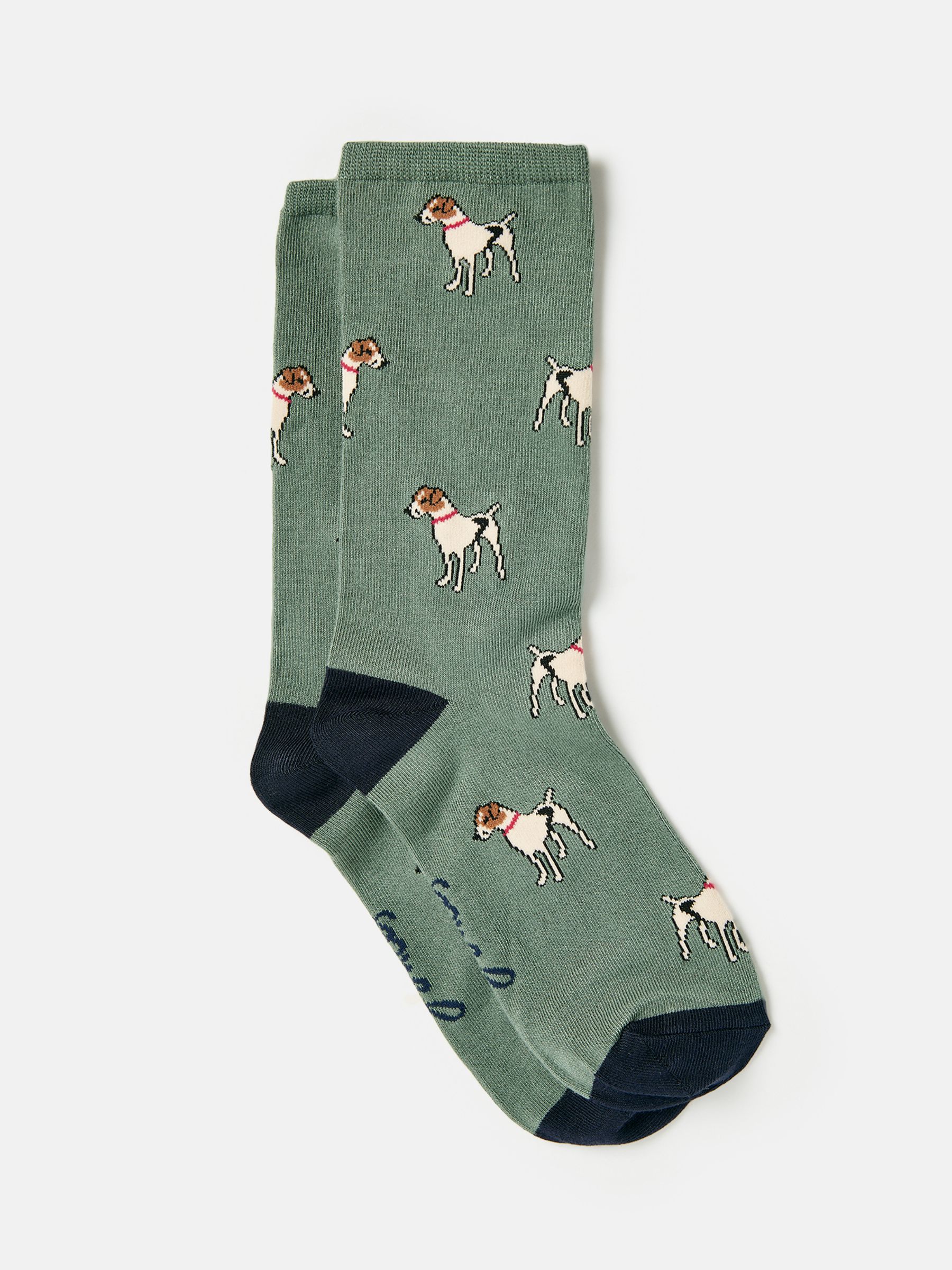 Excellent Everyday Green Dog Ankle Socks - Image 4 of 8