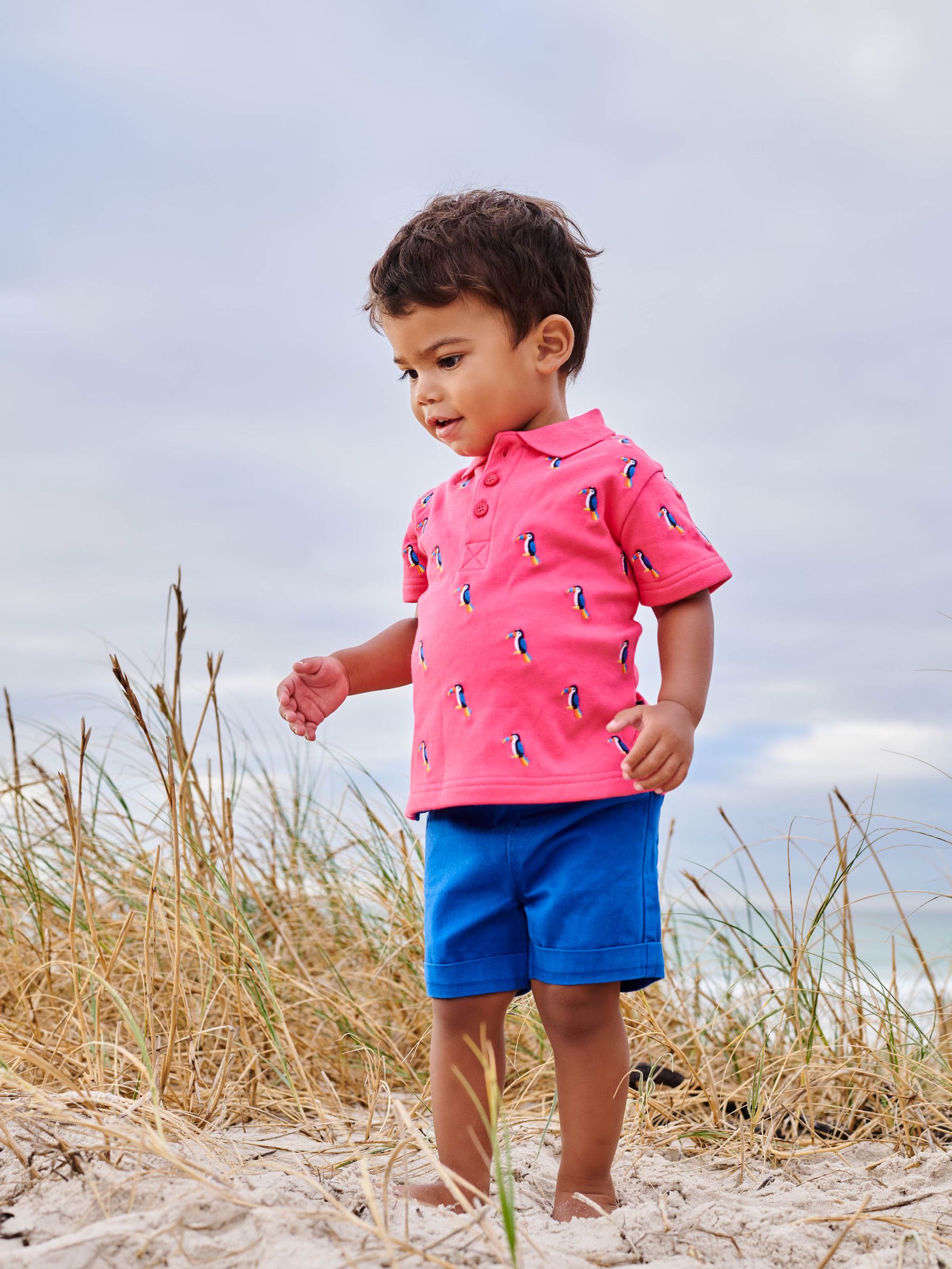 Cobalt Blue Twill Chino Shorts - Image 3 of 3