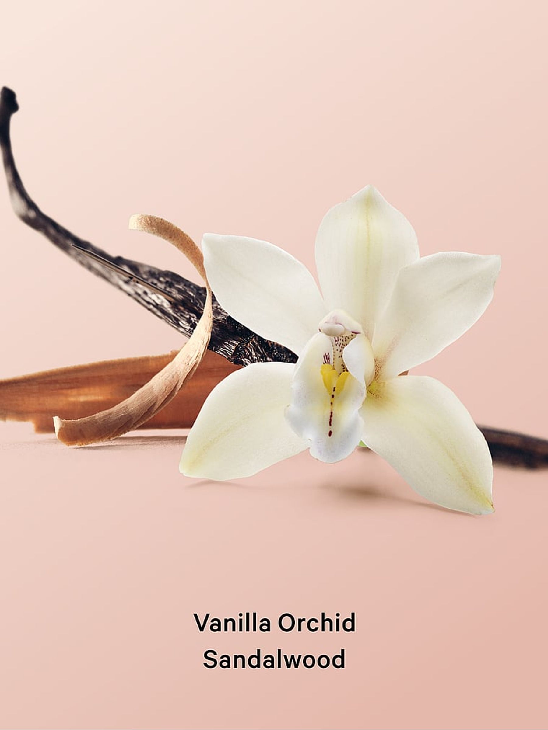 Vanilla Orchid Sandalwood Gift Set 4 Piece - Image 3 of 3