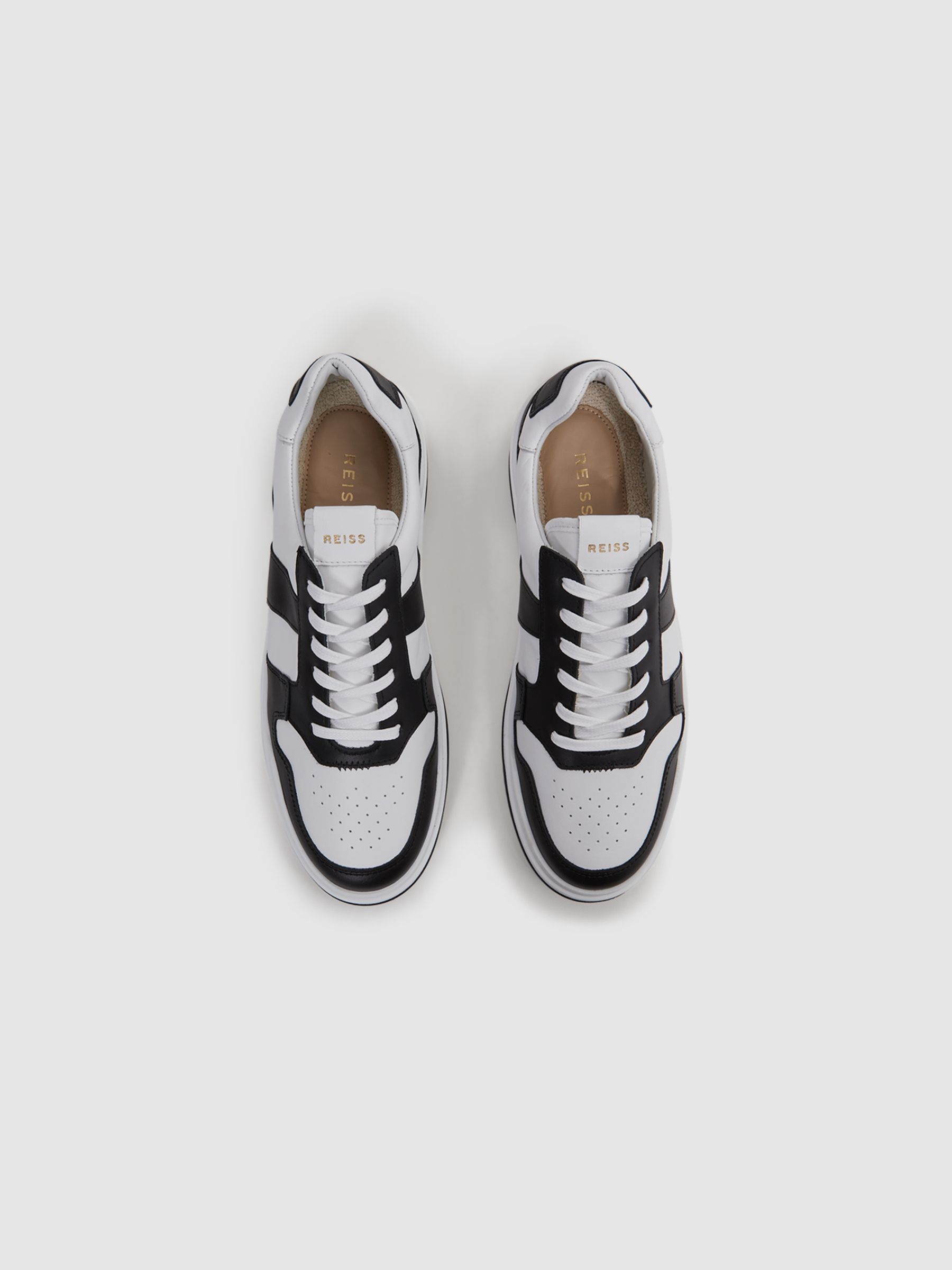 Low Top Leather Trainers in Black - Image 3 of 5