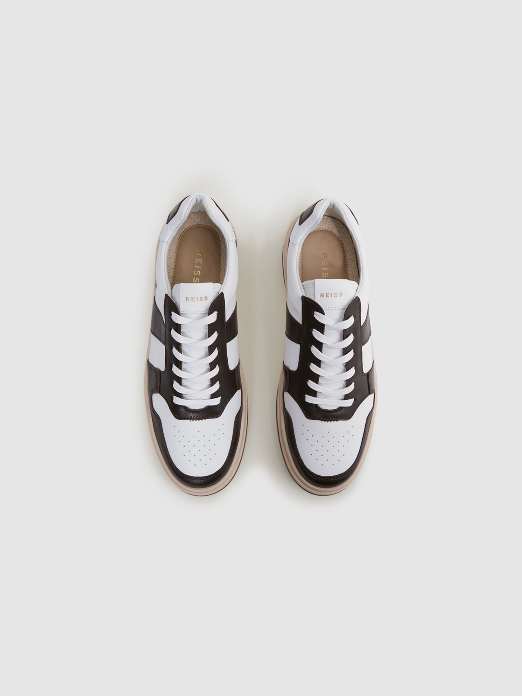 Low Top Leather Trainers in Brown - Image 3 of 5
