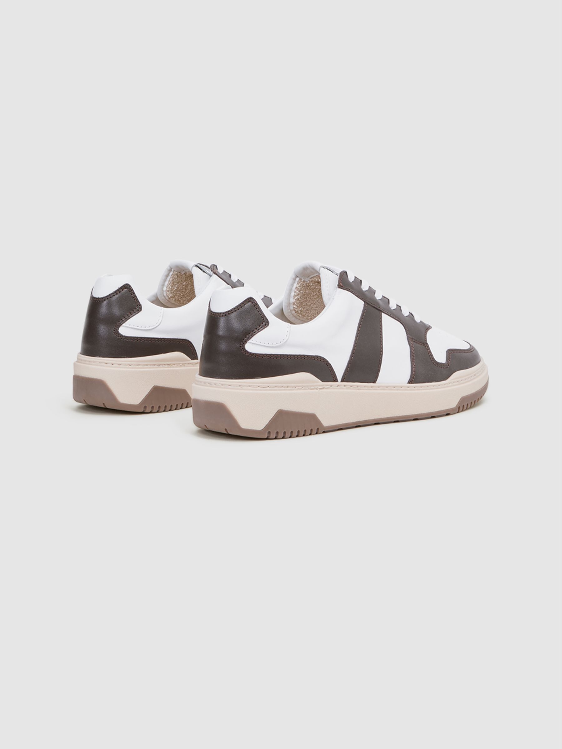 Low Top Leather Trainers in Brown - Image 4 of 5