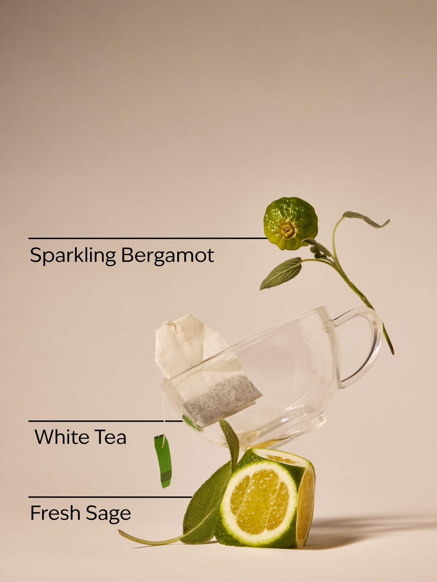 White Tea and Sage Gentle & Clean Foaming Hand Soap 259ml - Image 3 of 4