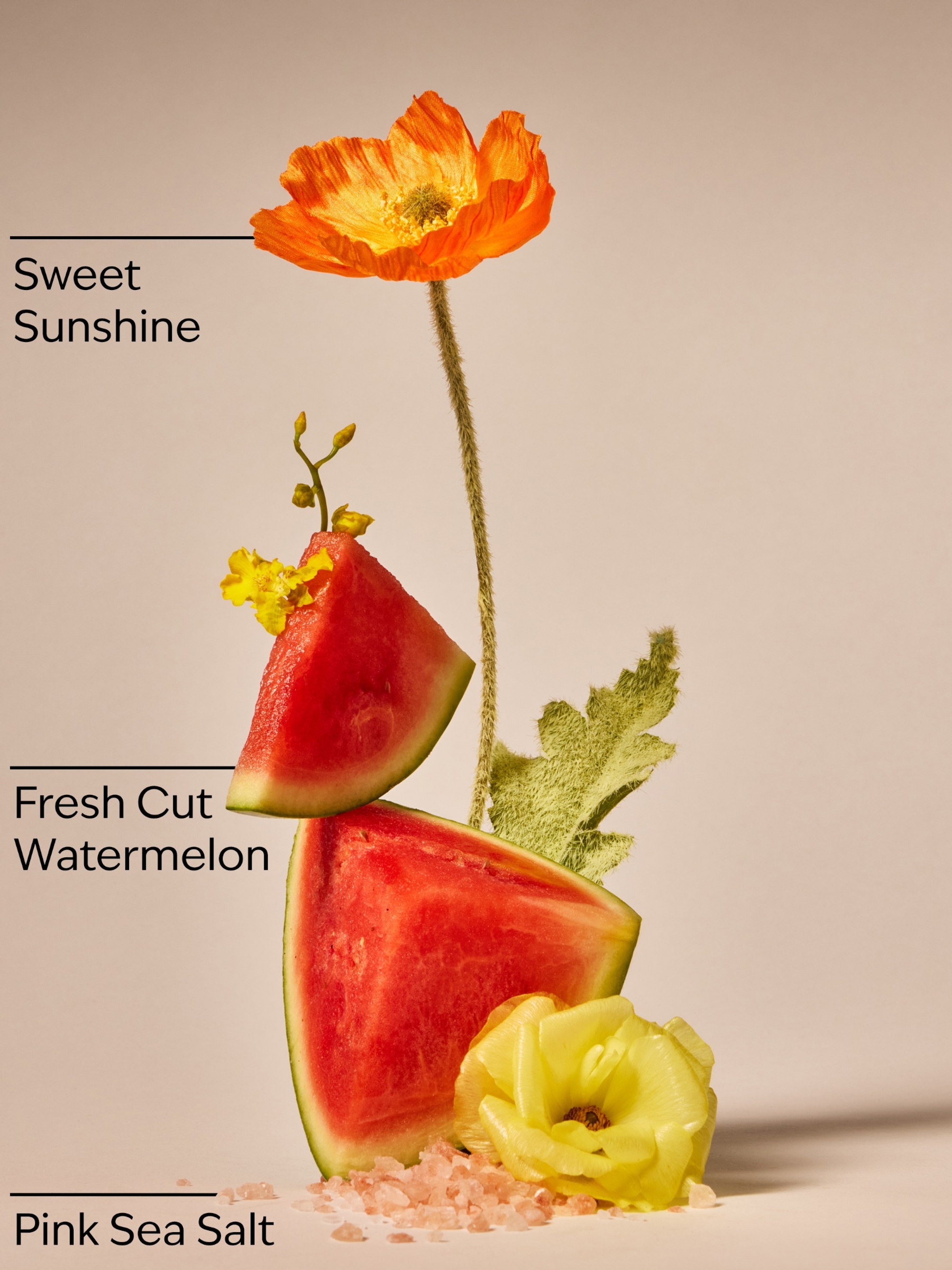 Fresh Watermelon Revitalizing Gel Hand Soap 266ml - Image 3 of 4
