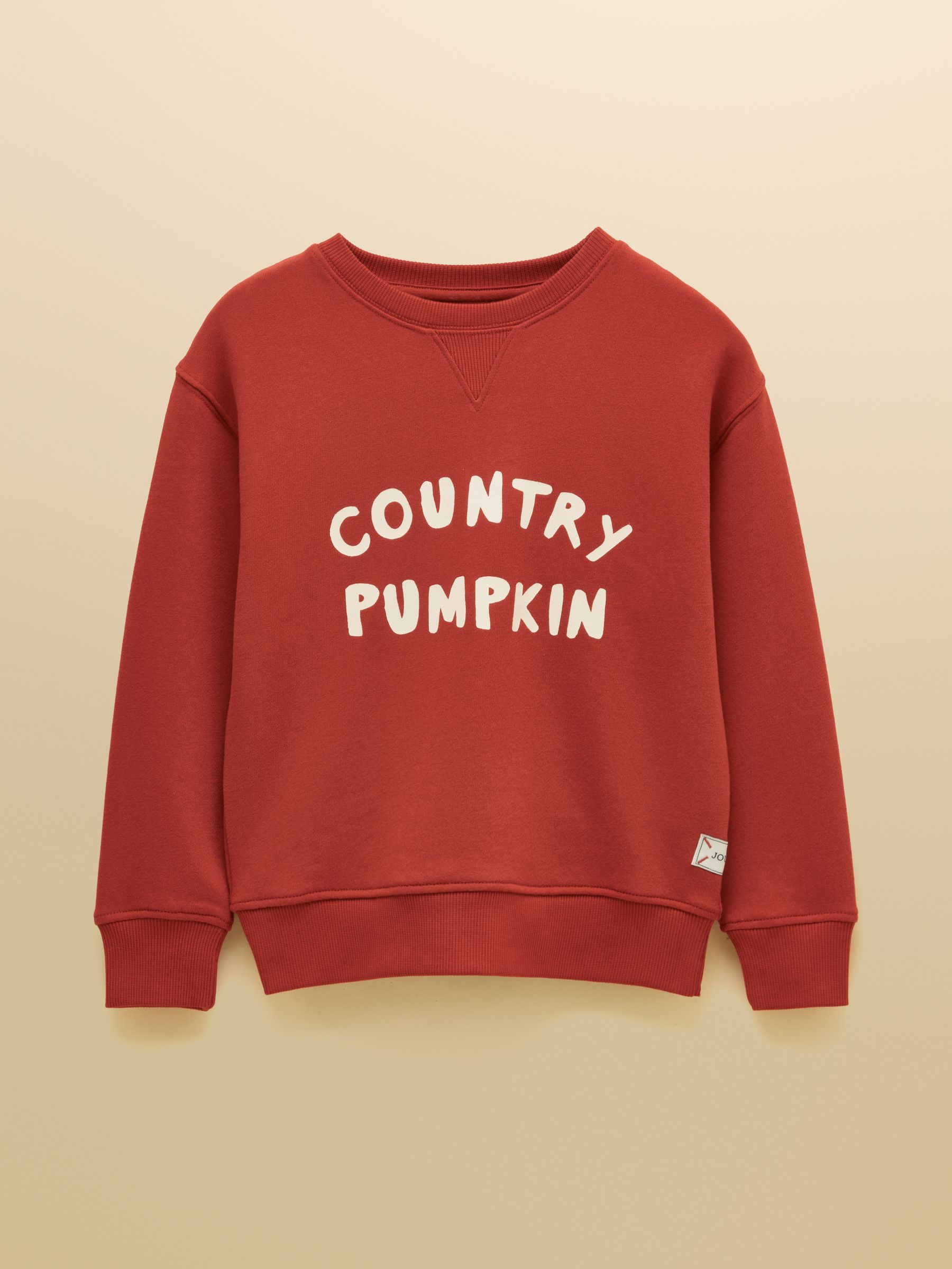 Kids' Sundaze Rust Red Slogan Crew Neck Sweatshirt - Image 1 of 5