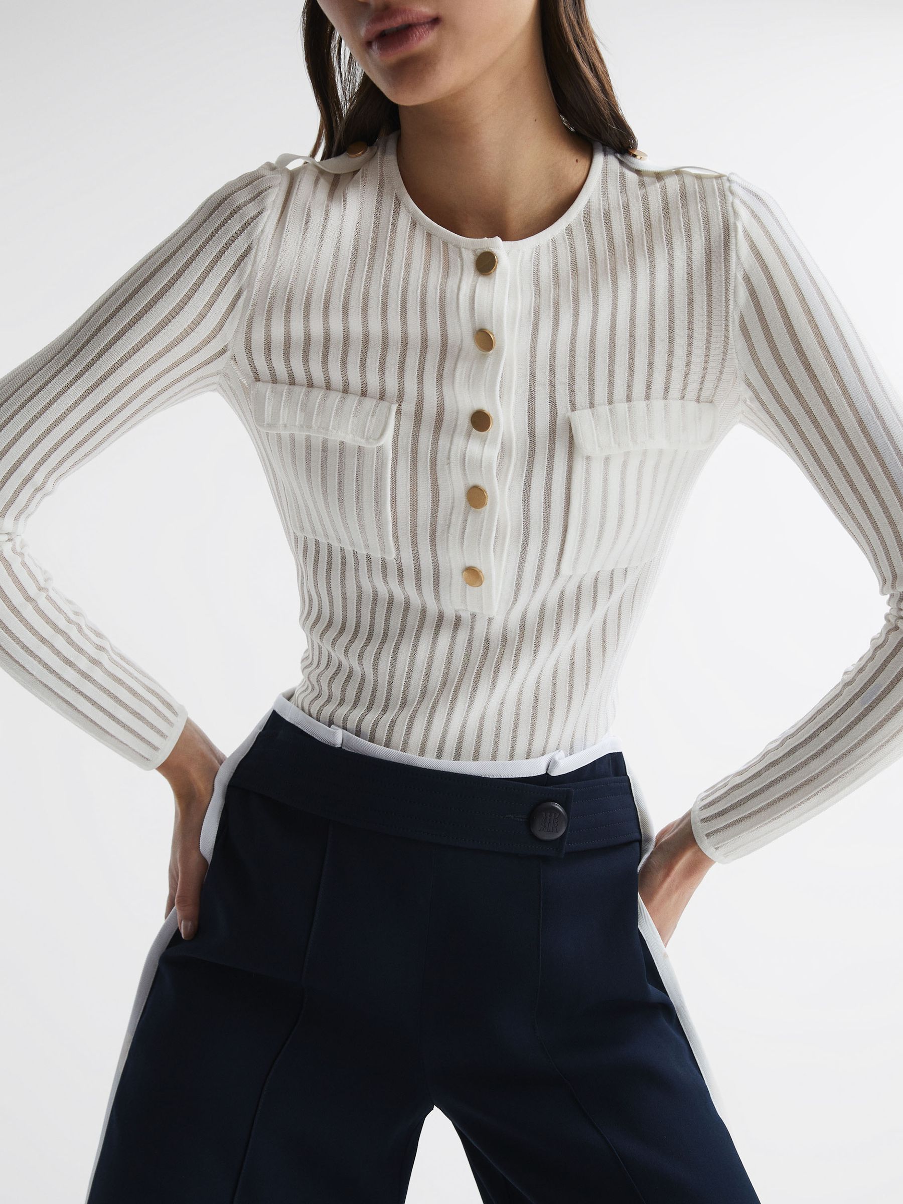 Sheer Striped Long Sleeve Top in Ivory - Image 1 of 6