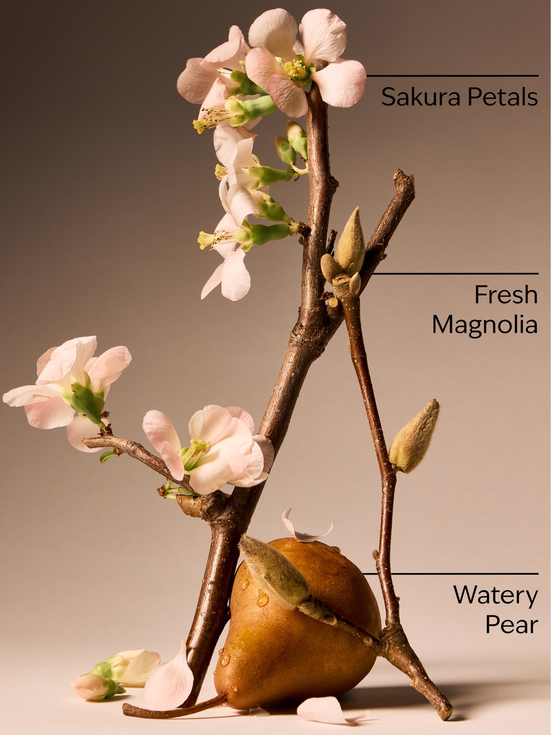 Forever Cherry Blossom Body Lotion 236ml - Image 3 of 4