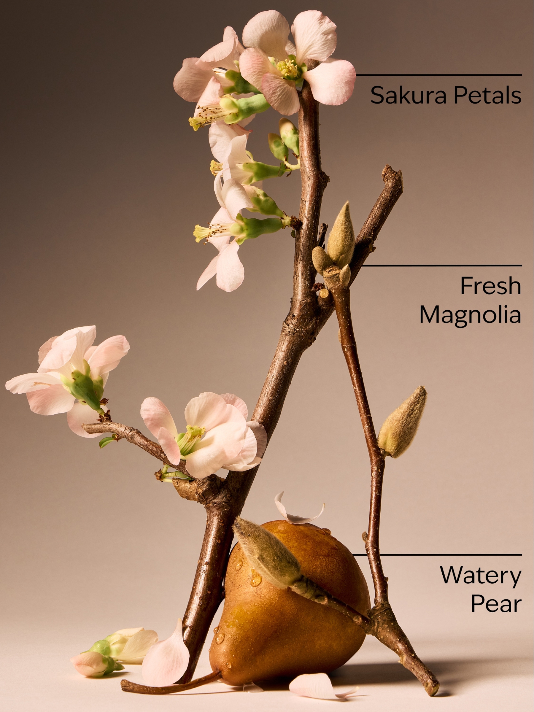Forever Cherry Blossom Ultimate Hydration Body Cream 226g - Image 3 of 4
