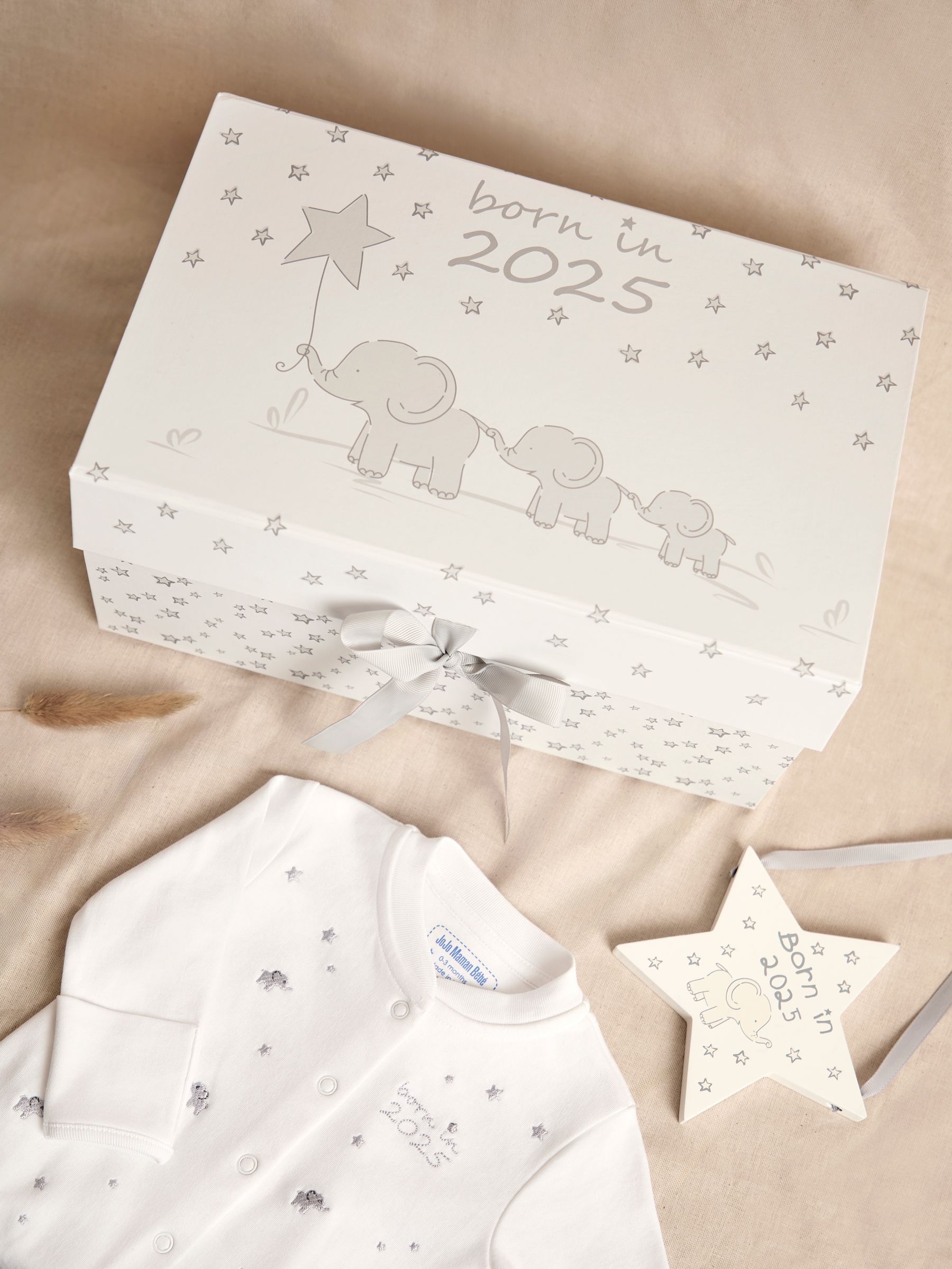 Born in 2025 Door Hanger | JoJo Maman Bébé