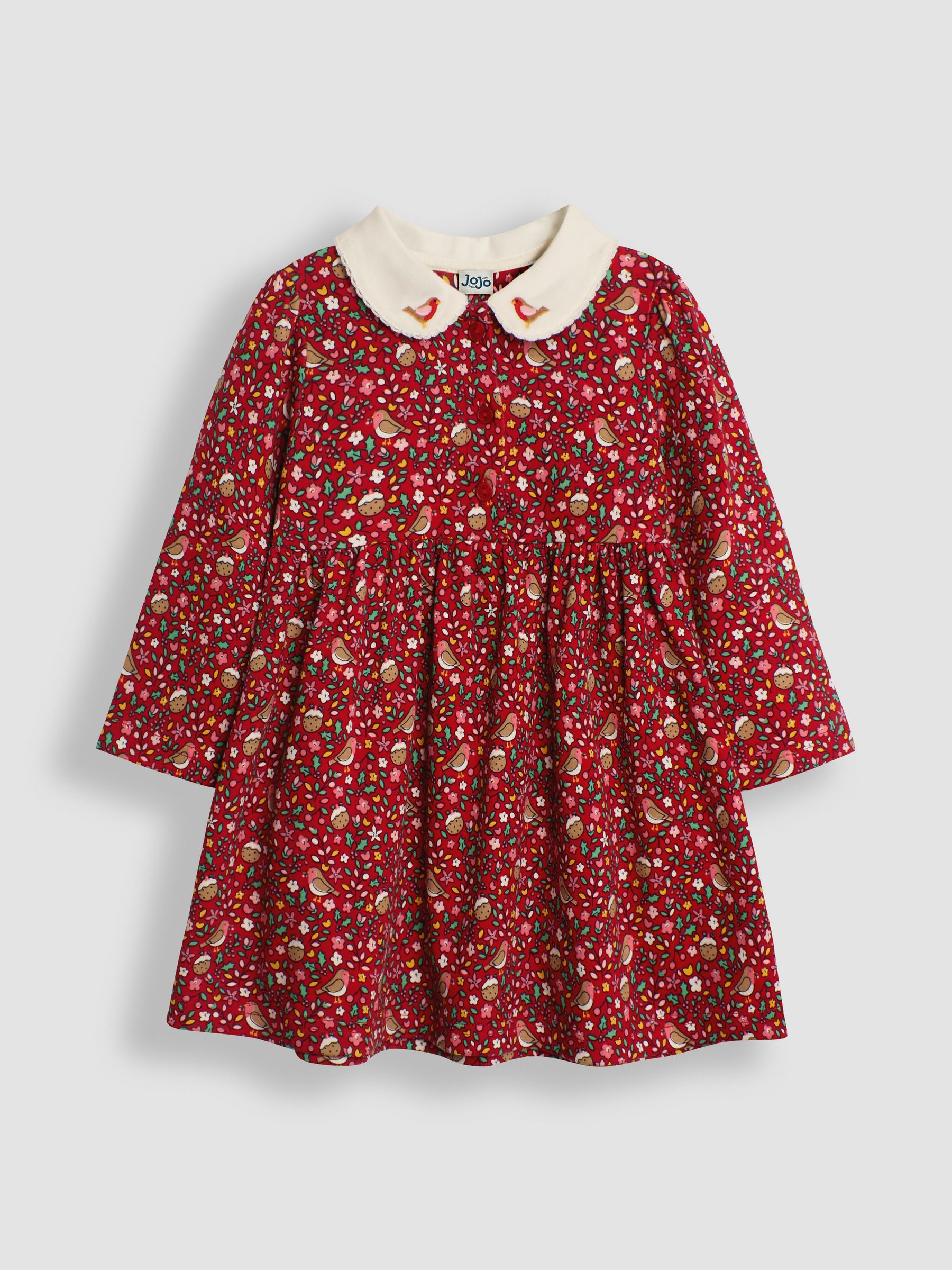 Red Christmas Robin Floral Peter Pan Dress - Image 1 of 3