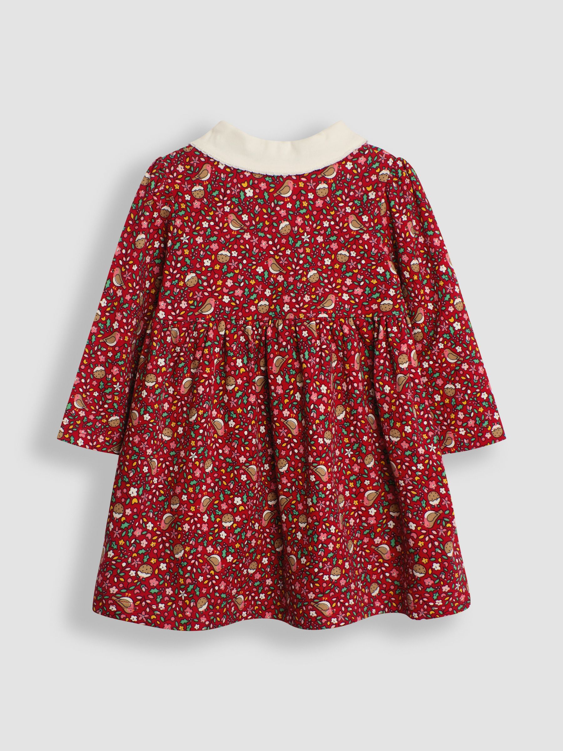 Red Christmas Robin Floral Peter Pan Dress | JoJo Maman Bébé USA