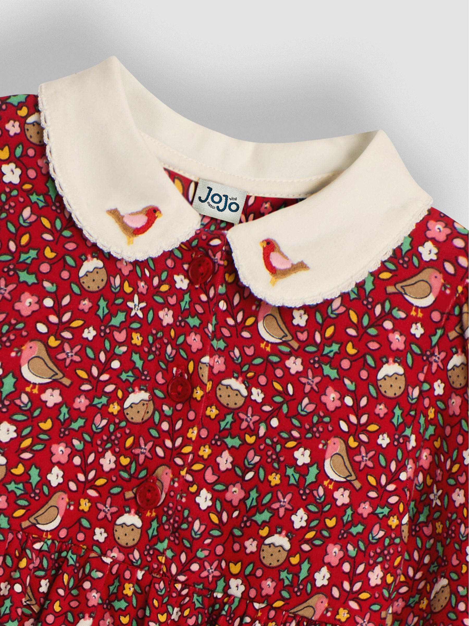 Red Christmas Robin Floral Peter Pan Dress | JoJo Maman Bb USA