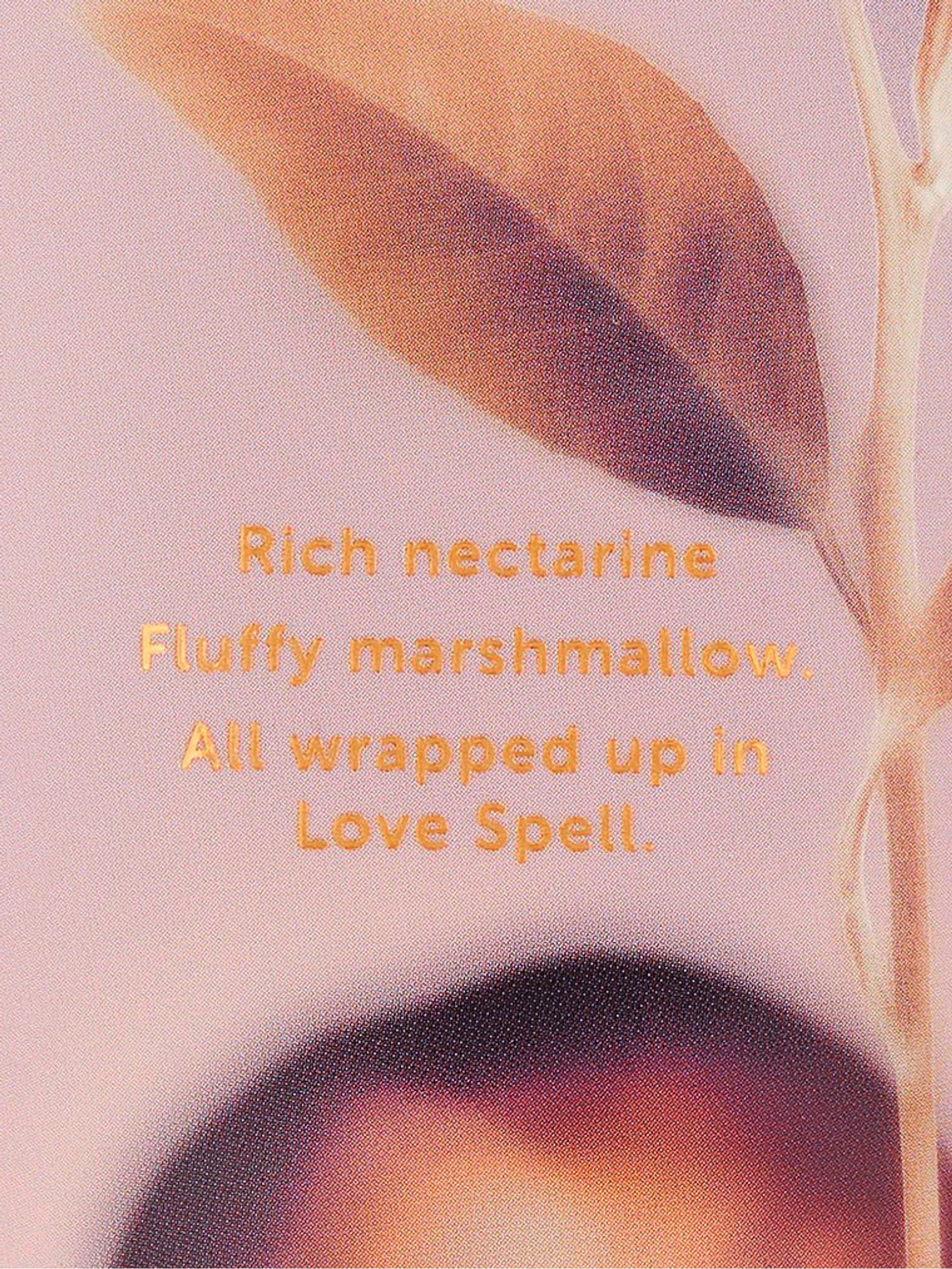 Love Spell Cashmere Body Lotion 236ml - Image 2 of 2