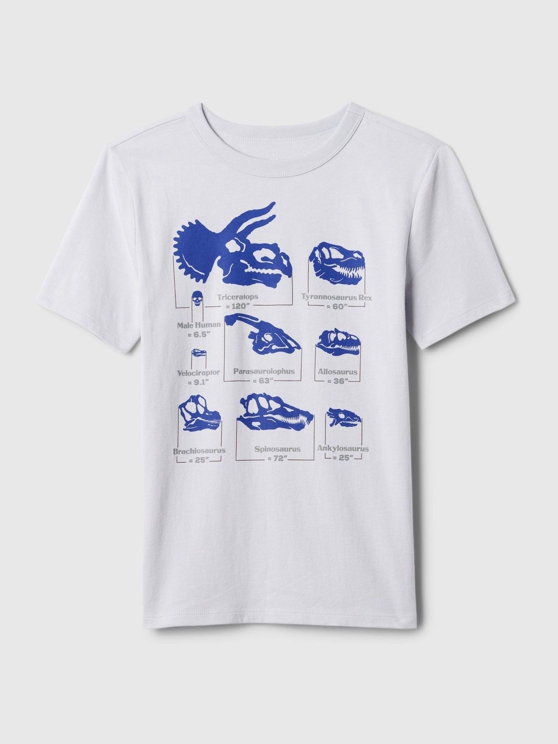White Dinosaur Graphic Crew Neck Short Sleeve T-Shirt (4-13yrs) - Image 1 of 2