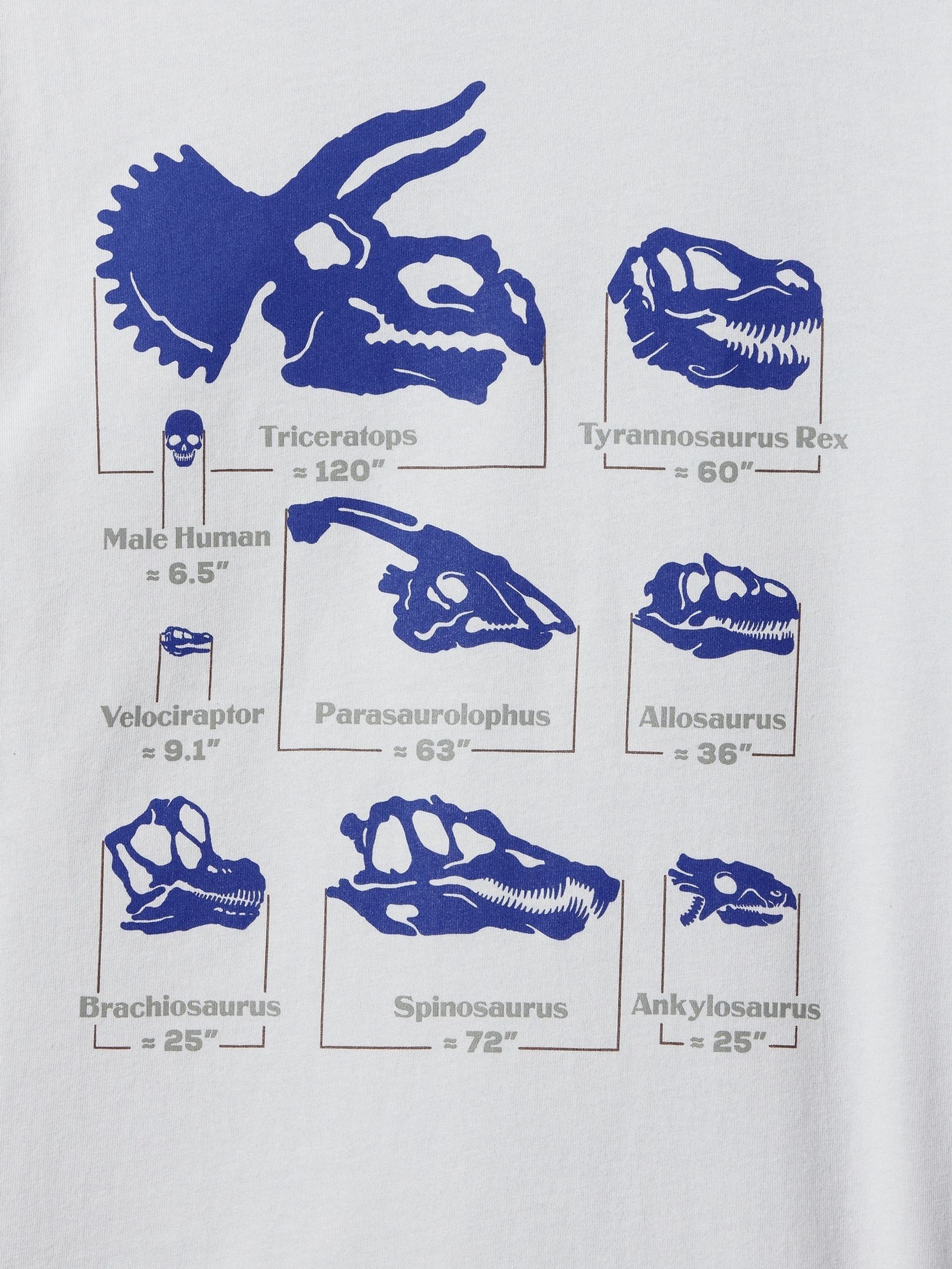 White Dinosaur Graphic Crew Neck Short Sleeve T-Shirt (4-13yrs) - Image 2 of 2