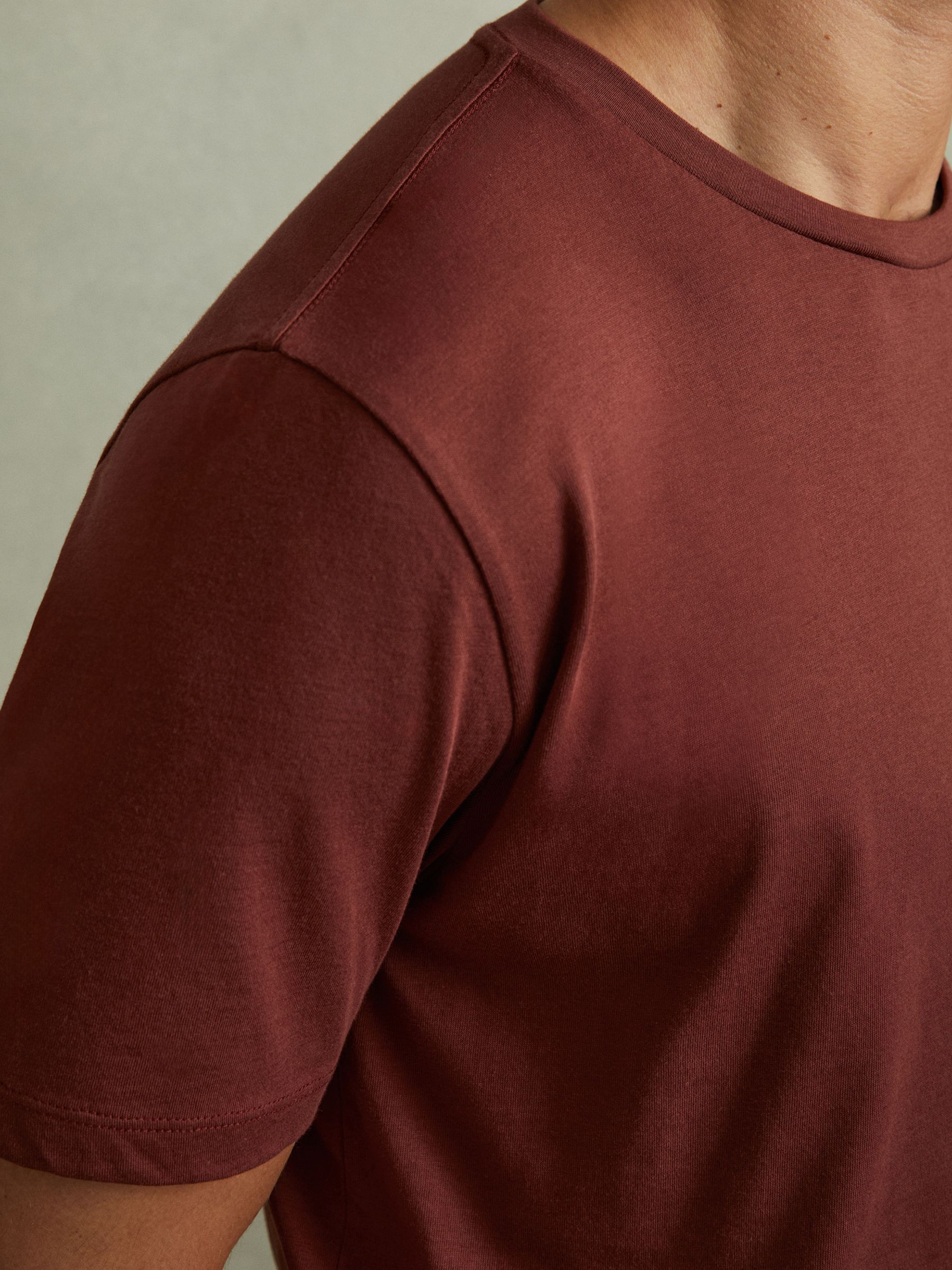 Cotton Crew Neck T-Shirt in Red Brick - Image 3 of 5