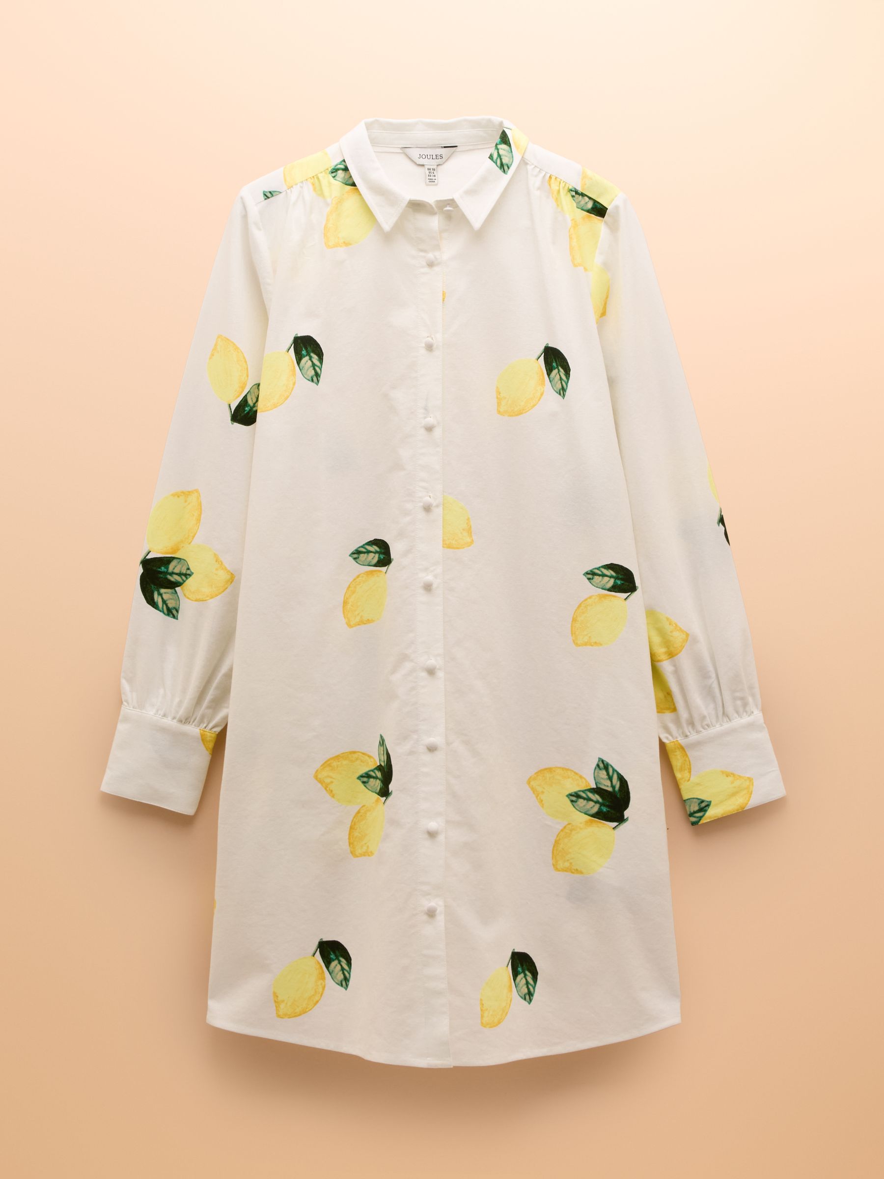 Phoebe Lemon Print Cotton Shirt Dress - Image 11 of 11