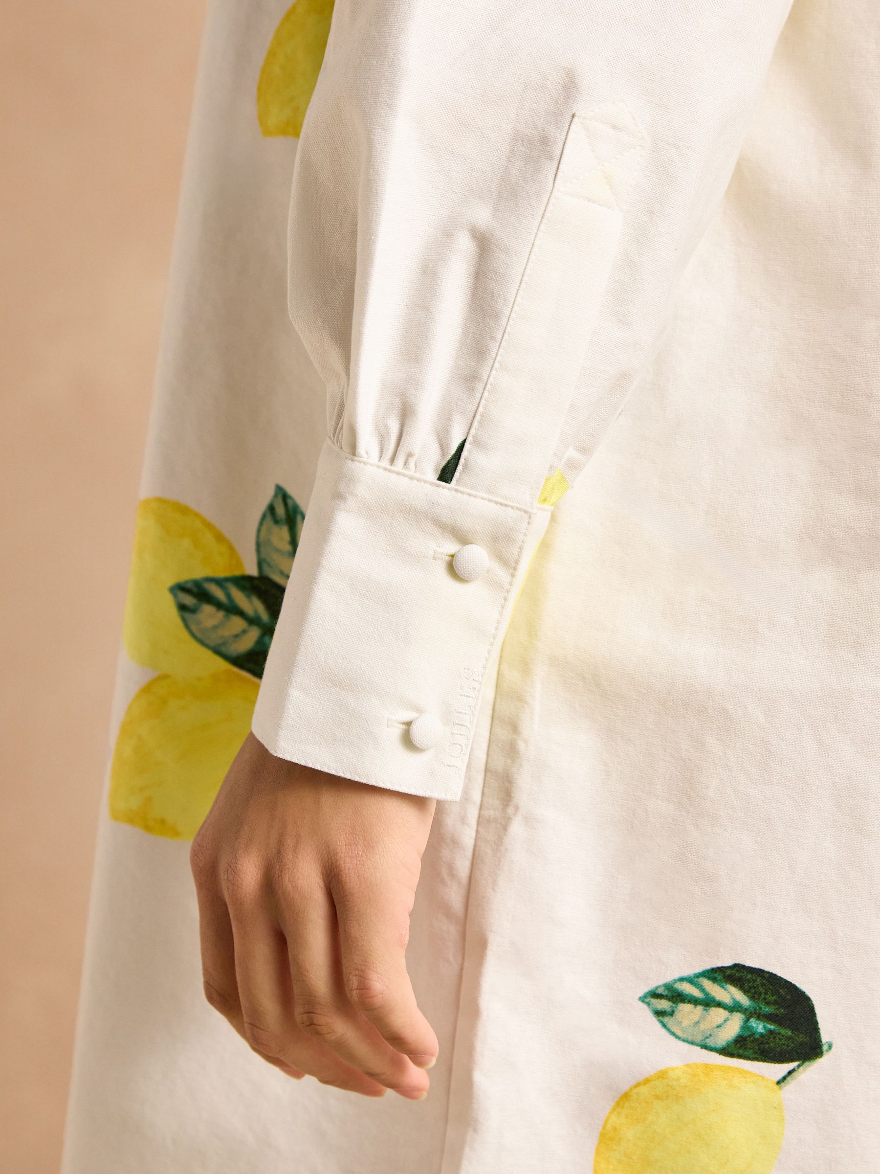 Phoebe Lemon Print Cotton Shirt Dress - Image 8 of 14