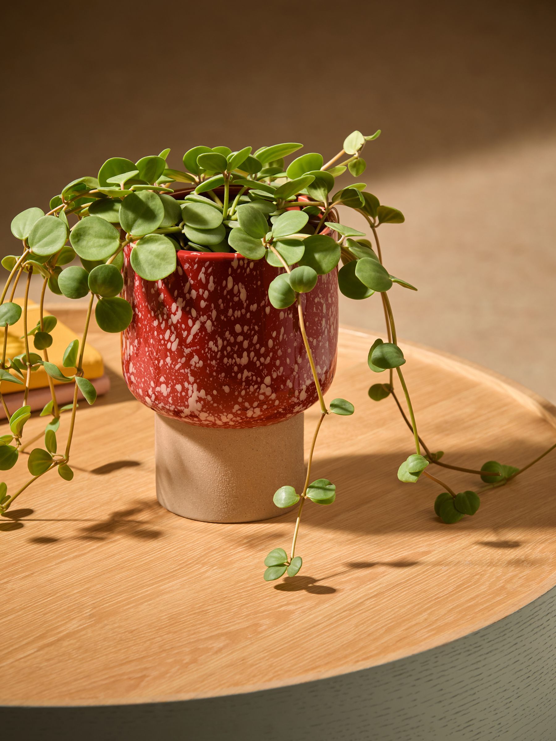 Santiago Hand Splatter Small Plant Pot in Terracotta & White - Image 1 of 5