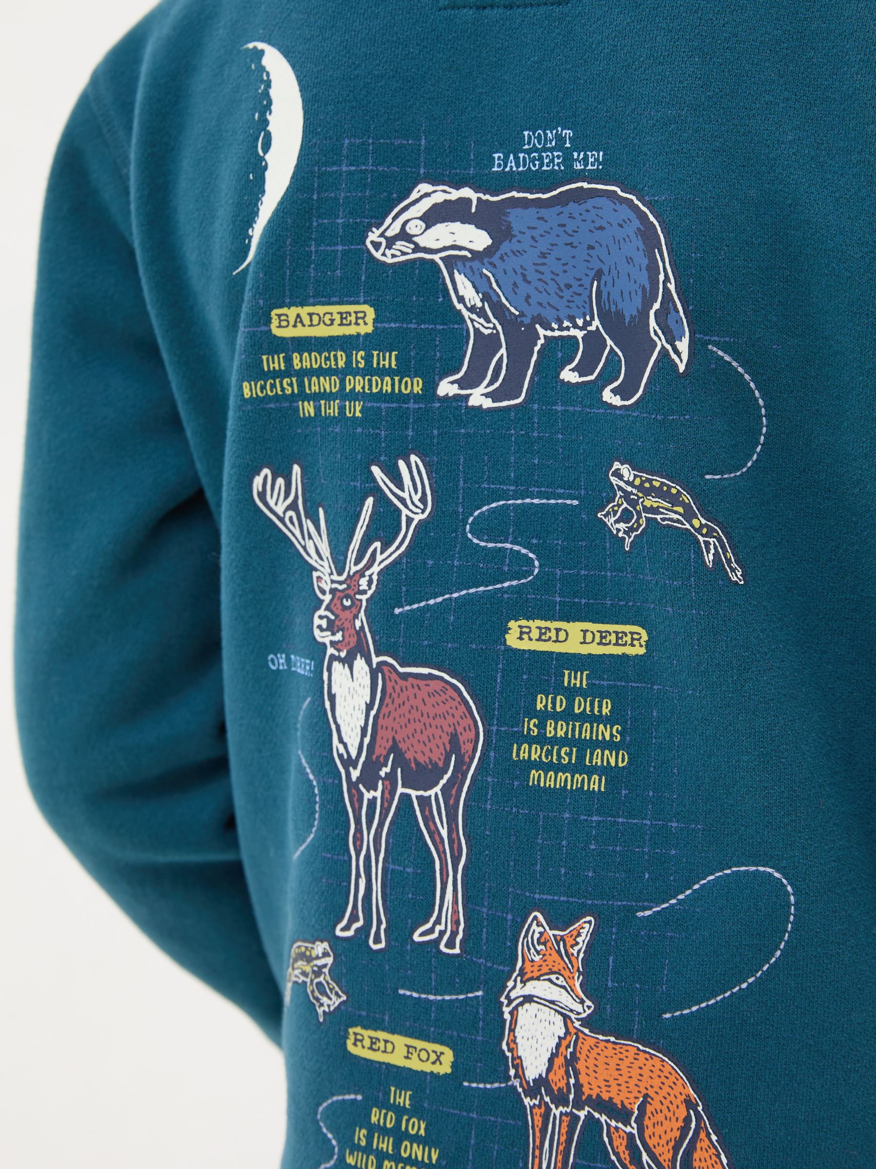 Teal Blue Dark Skies Animal Zip Through Hoodie - Image 3 of 5