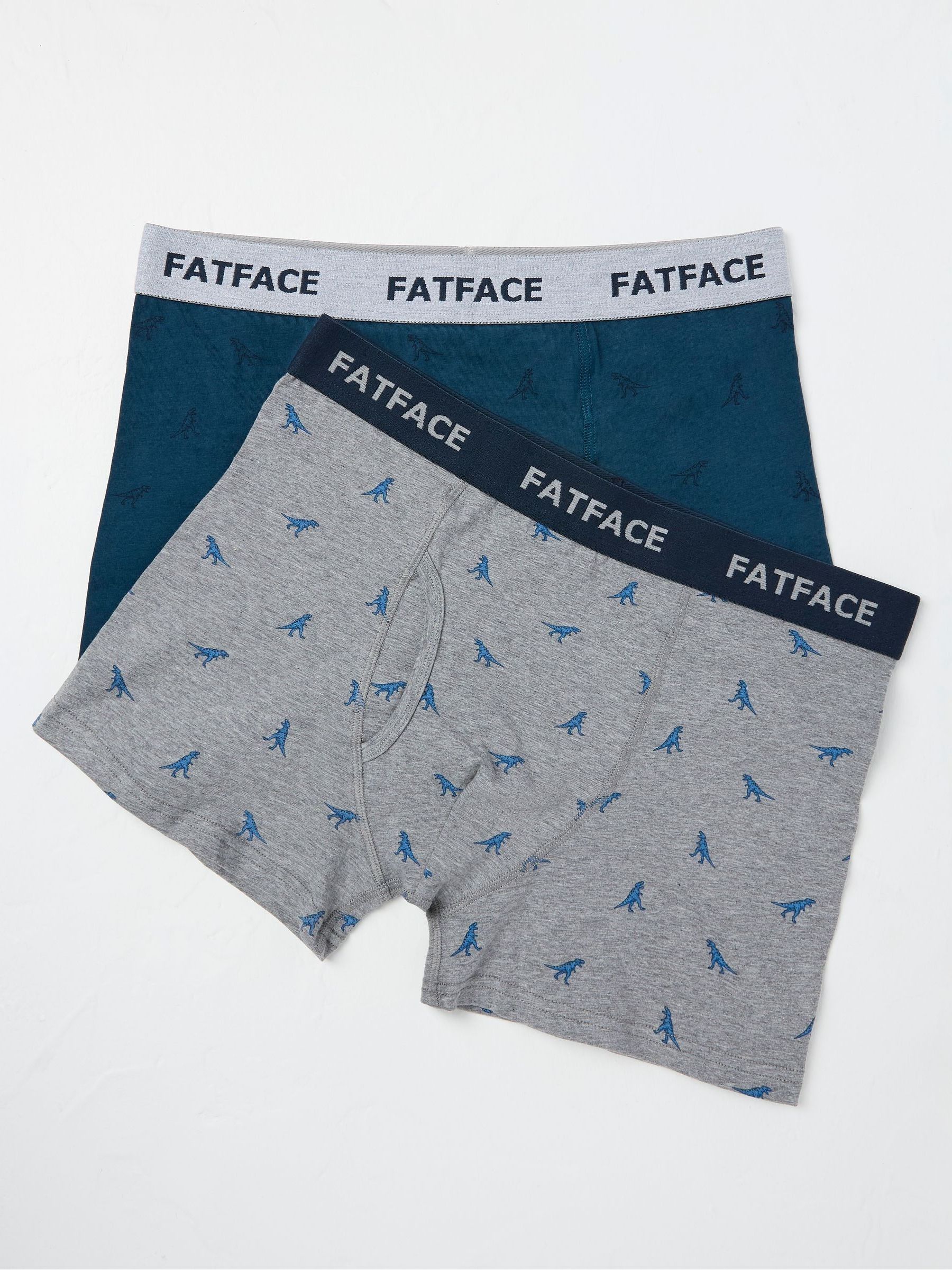 Grey Dinosaur Boxers 2 Pack - Image 1 of 2