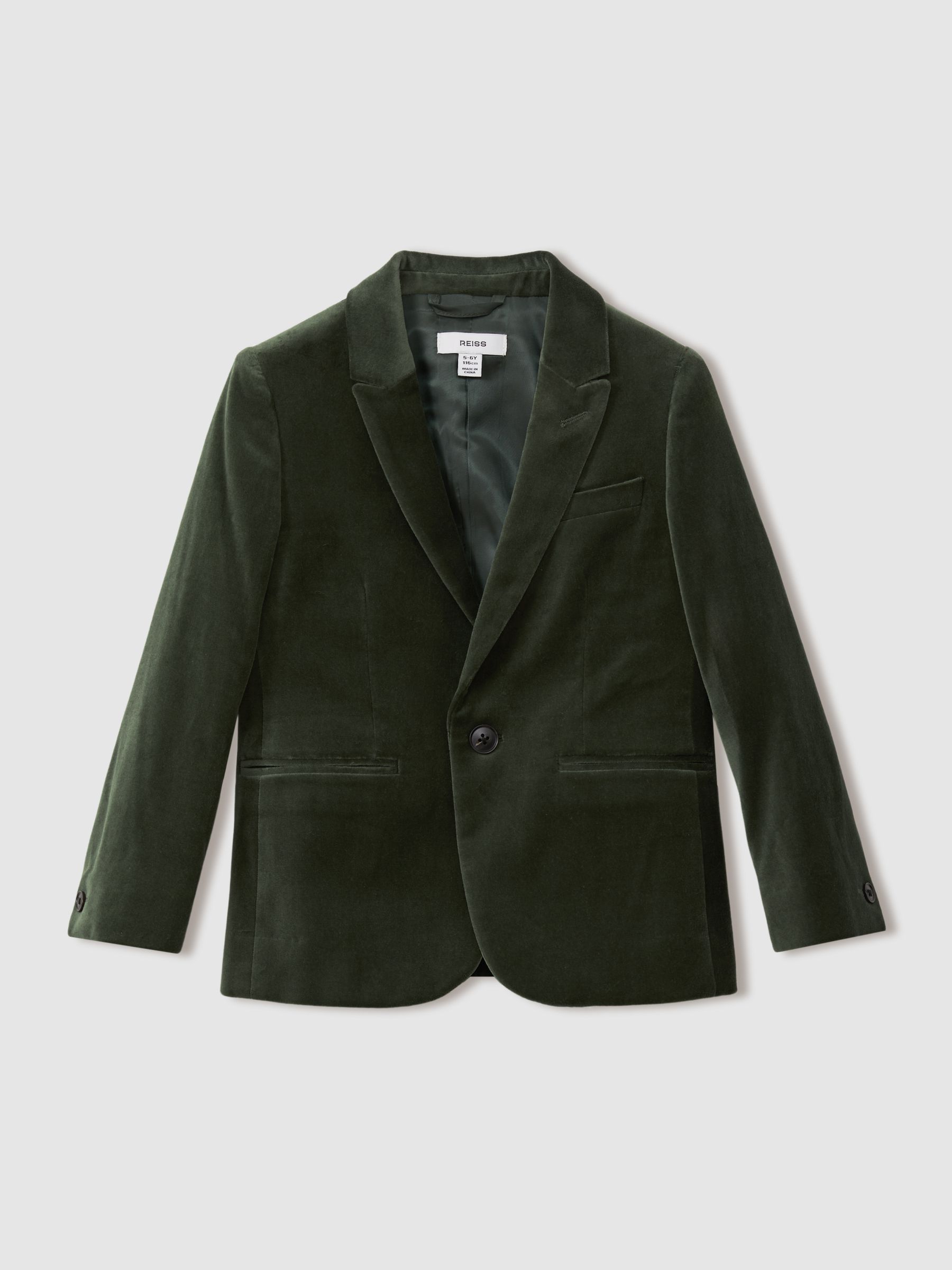 Velvet Single Breasted Blazer in Sage Green - Image 1 of 4