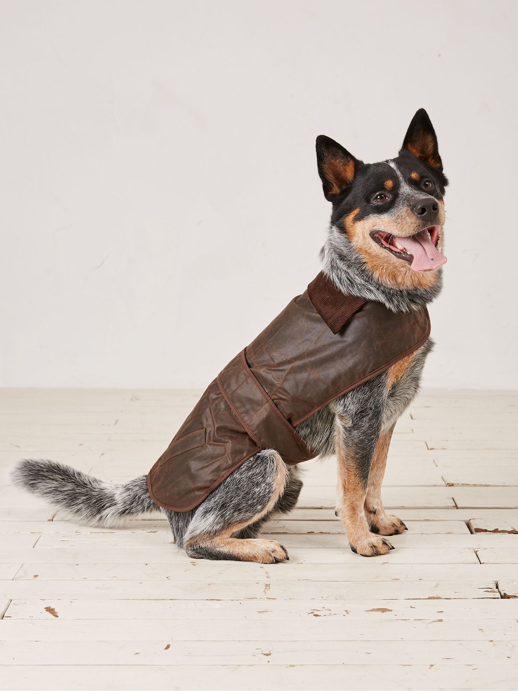 Brown Sussex Dog Coat FatFace