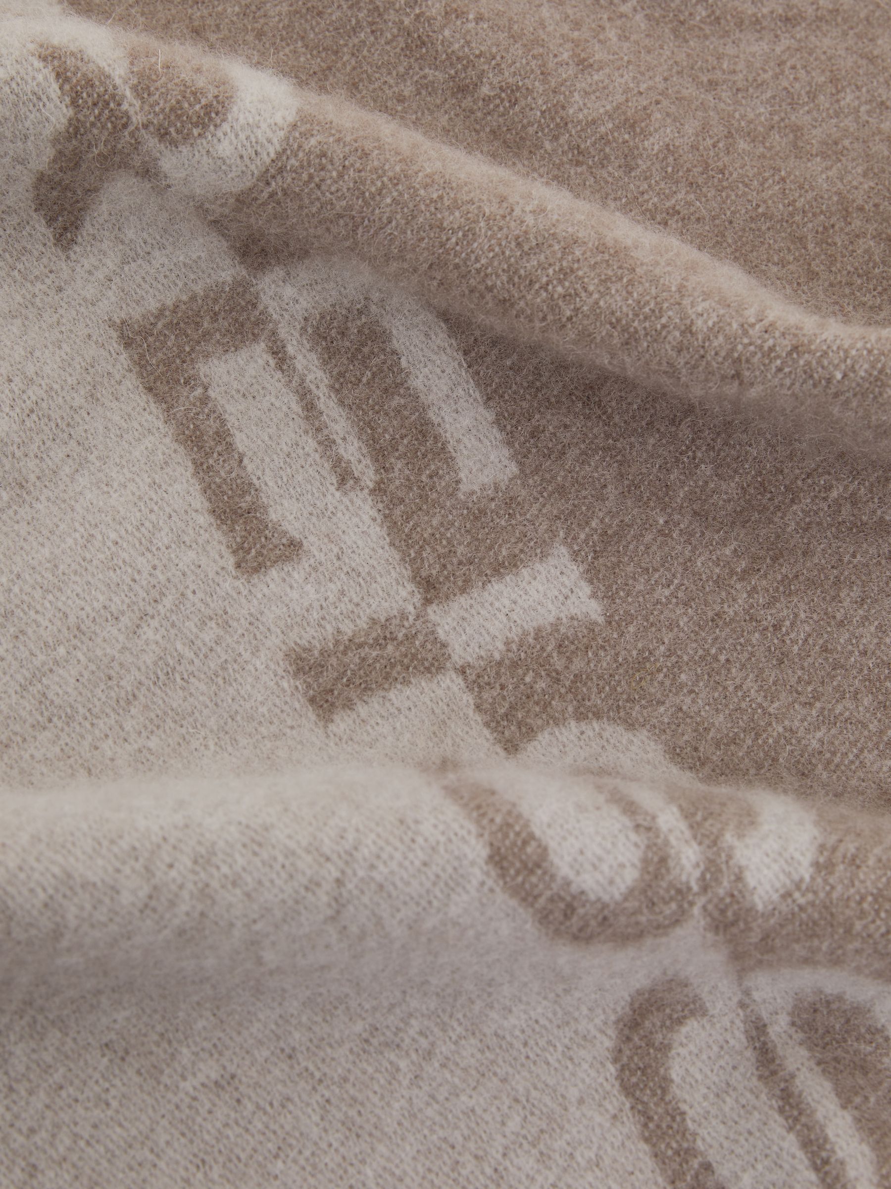 Wool Logo-Jacquard Scarf in Taupe - Image 4 of 5