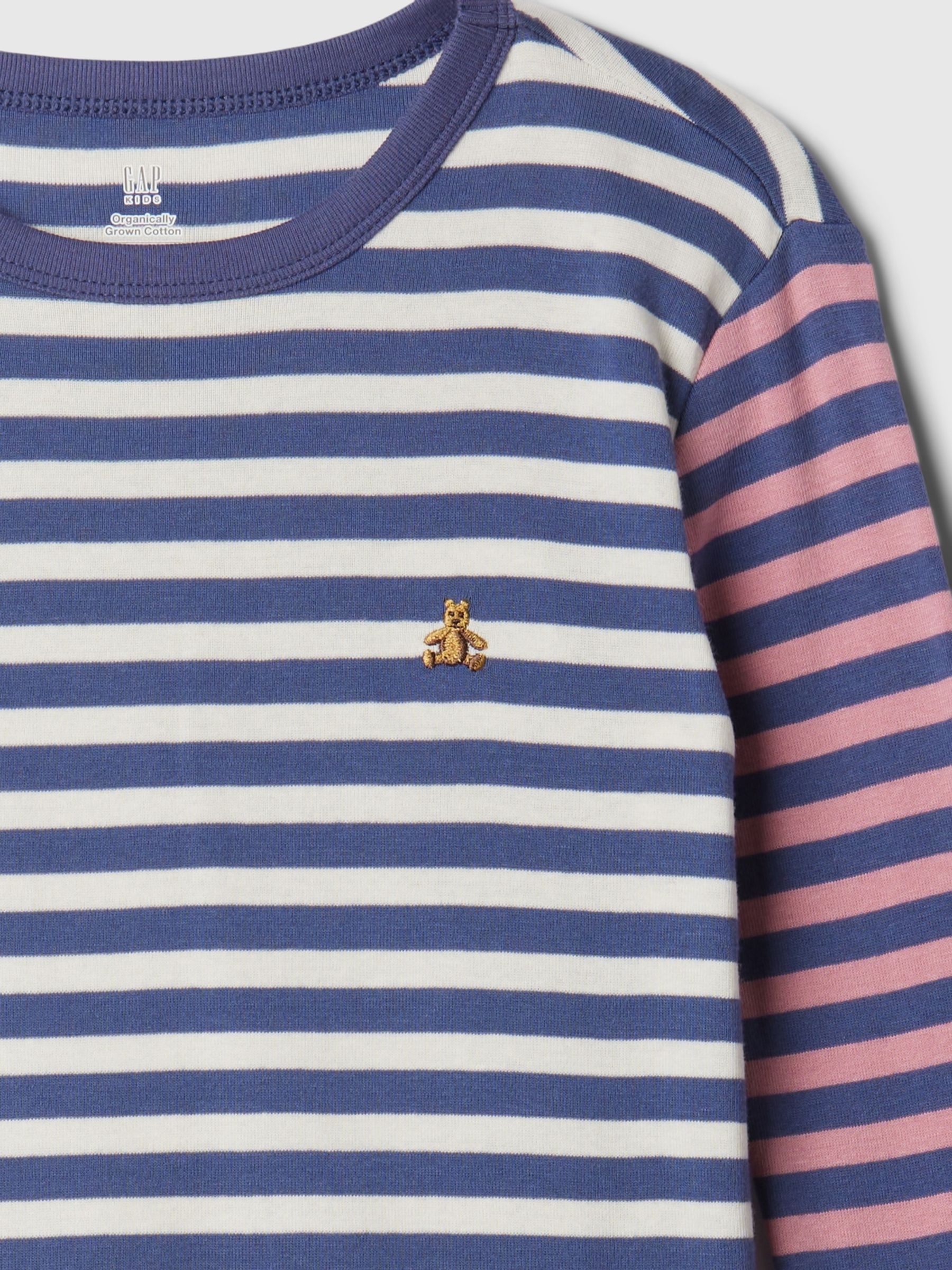 Blue Stripe Cotton Long Sleeve Pyjama Set (4-13yrs) - Image 3 of 3